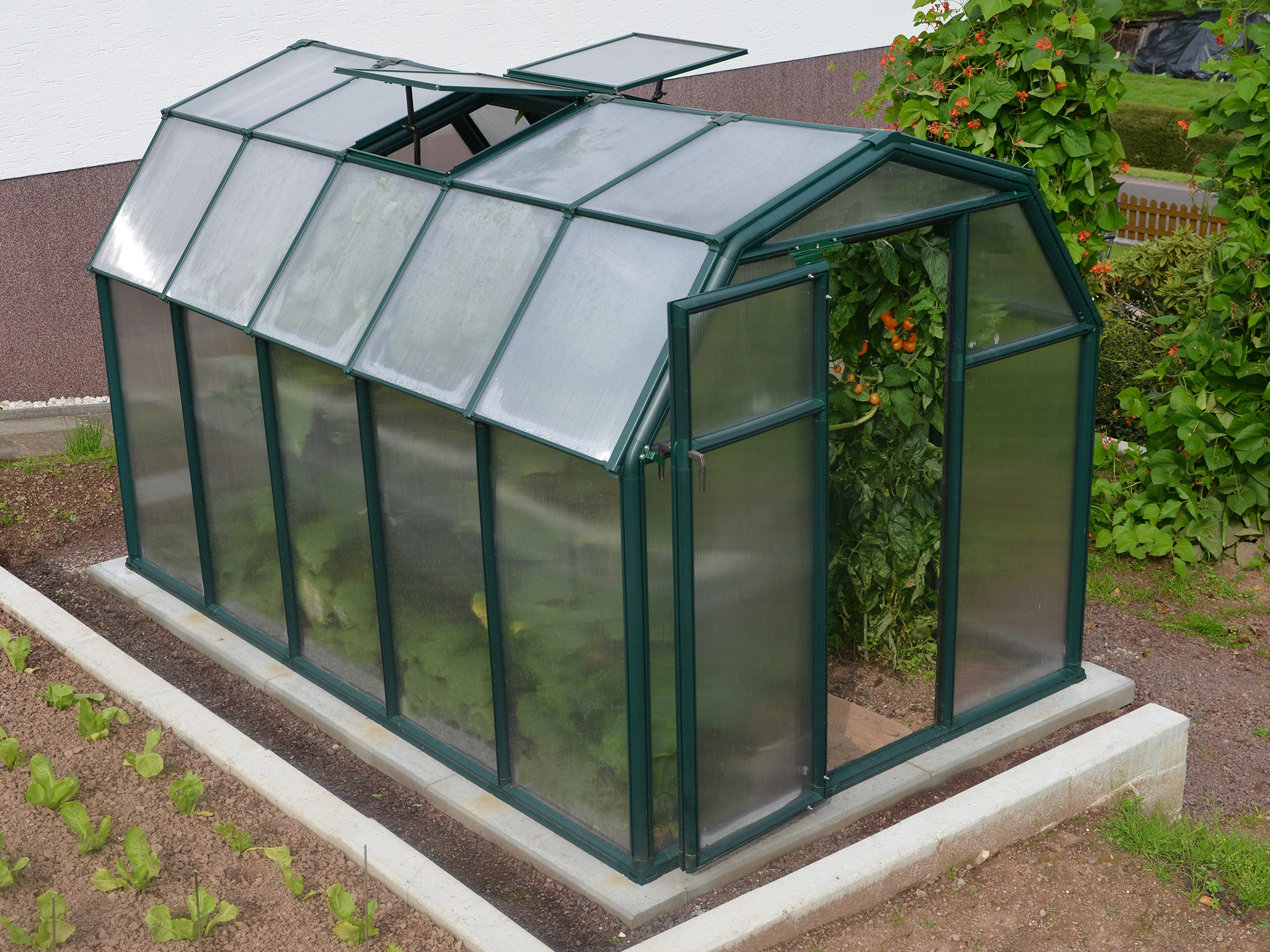 Palram Canopia Tuinkas Eco Grow 198 x 308 cm Groen - Afbeelding 3