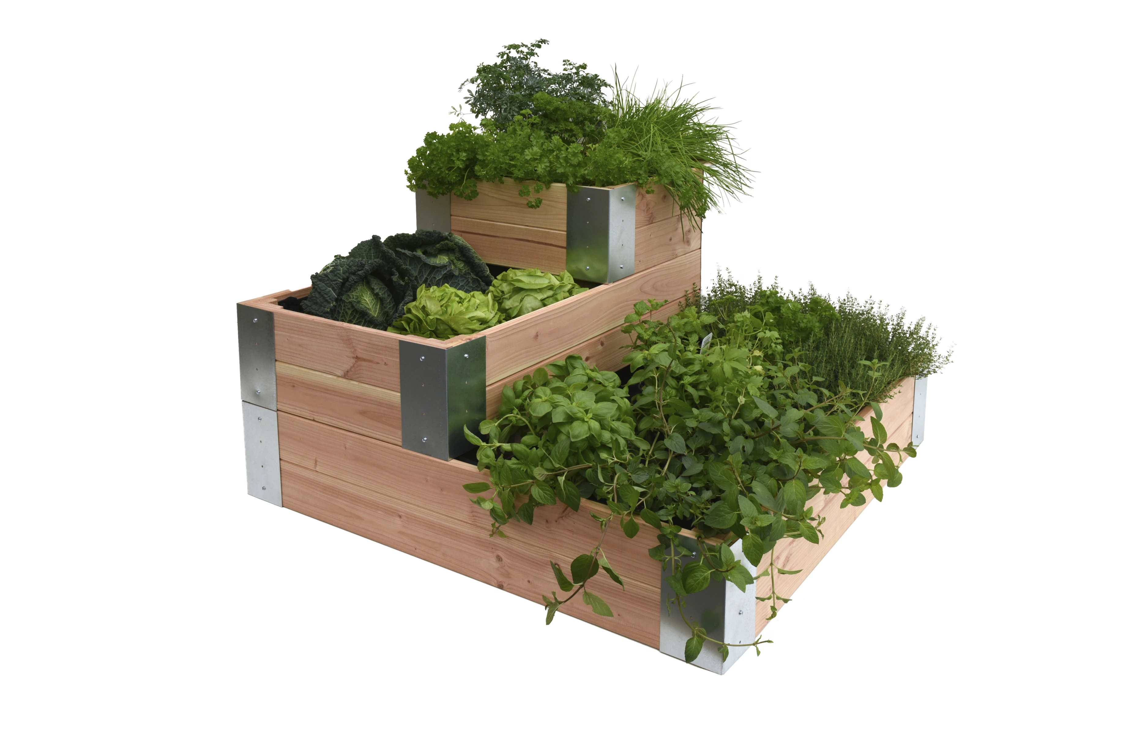 Douglas Mini Garden Hoekmodel 60 x 100 x 100 cm - Afbeelding 1