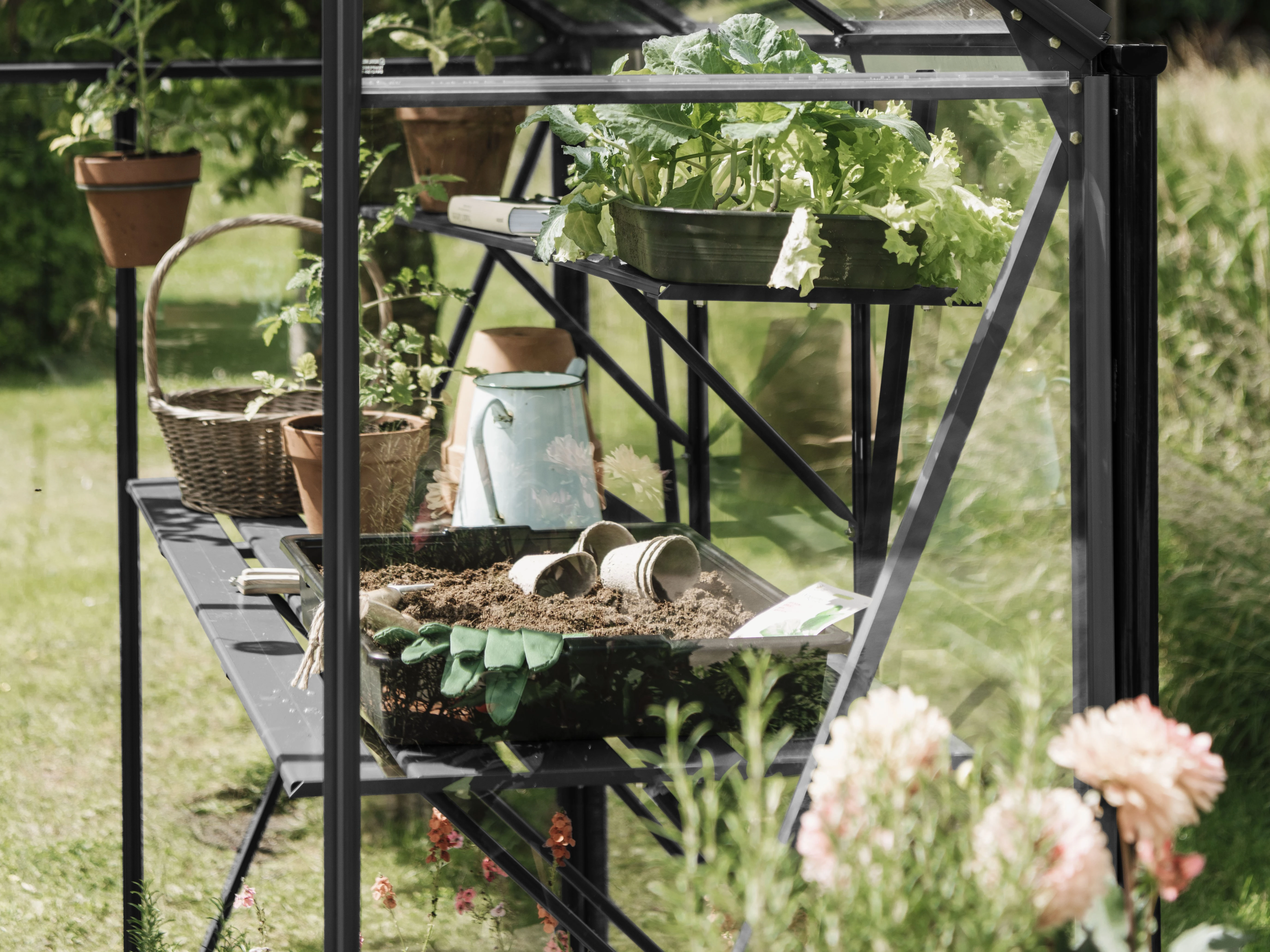 Royal Well Kweekschap voor Kate 2 Zwart - Afbeelding 2