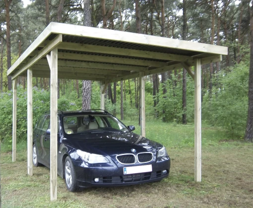 Woodlands Carport Basic Enkel 300 x 600 cm - Afbeelding 2