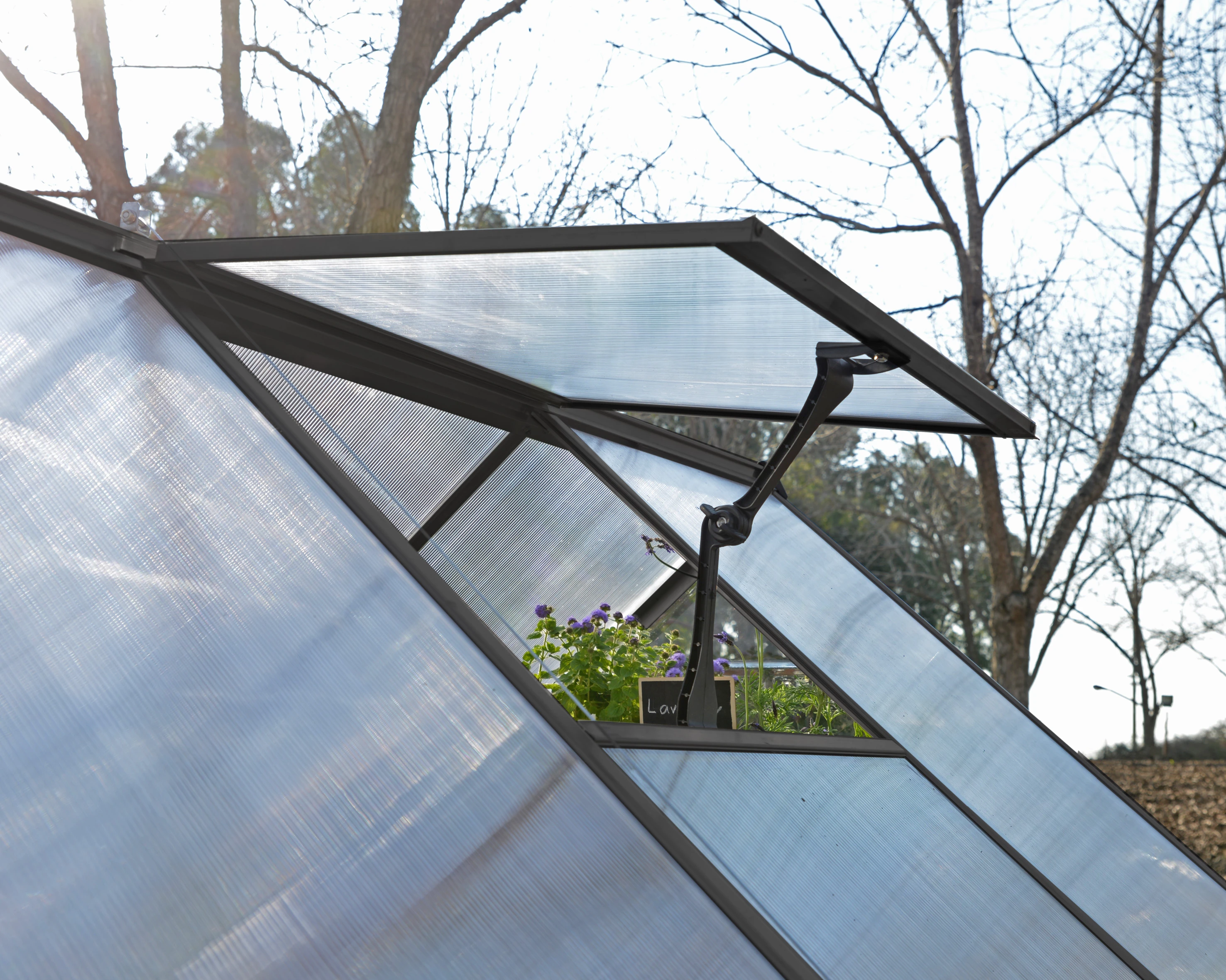 Palram Canopia Tuinkas Balance 244 x 487 cm Antraciet - Afbeelding 6