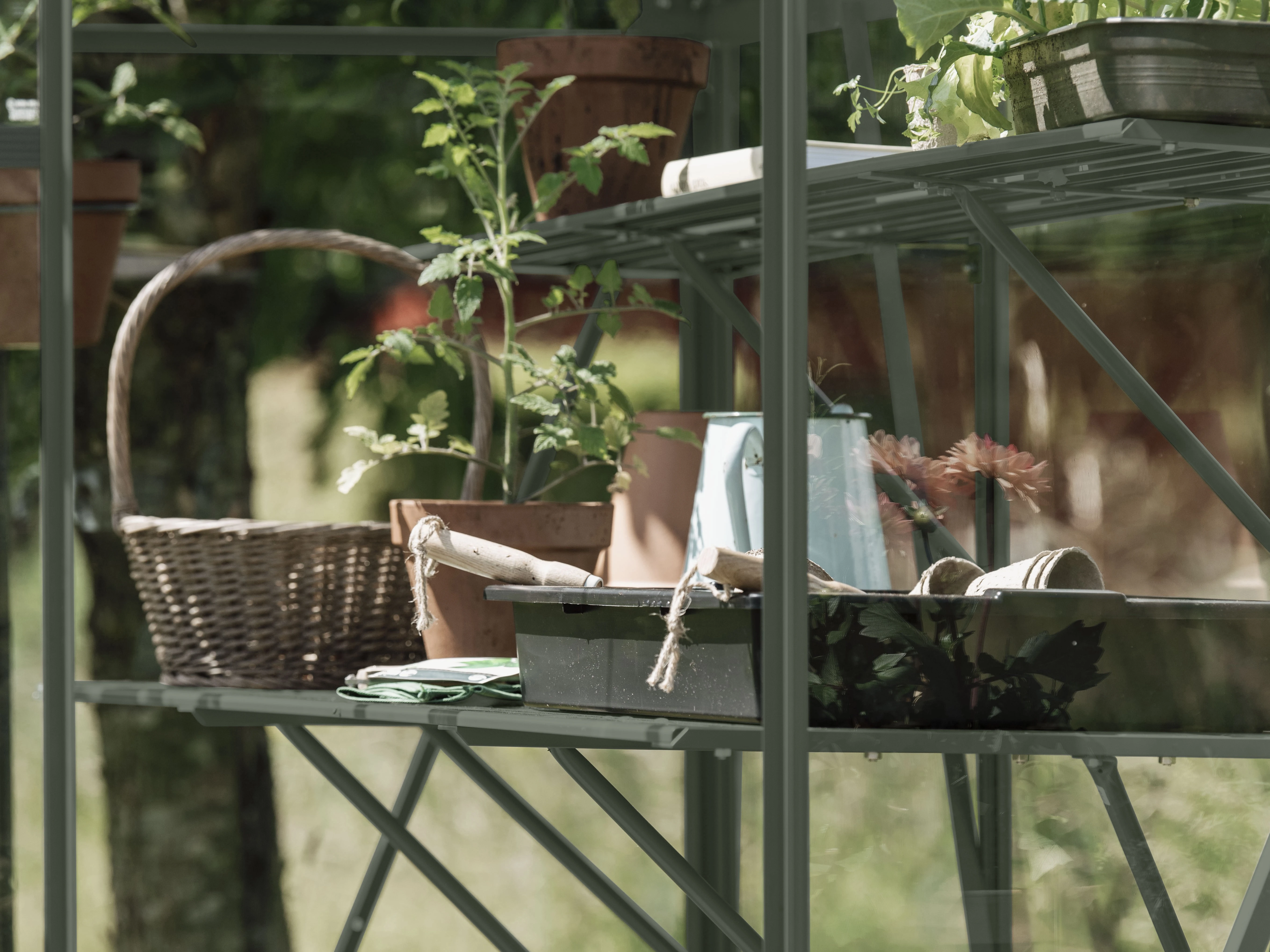 Royal Well Kweektafel Kate I Groengrijs - Afbeelding 1