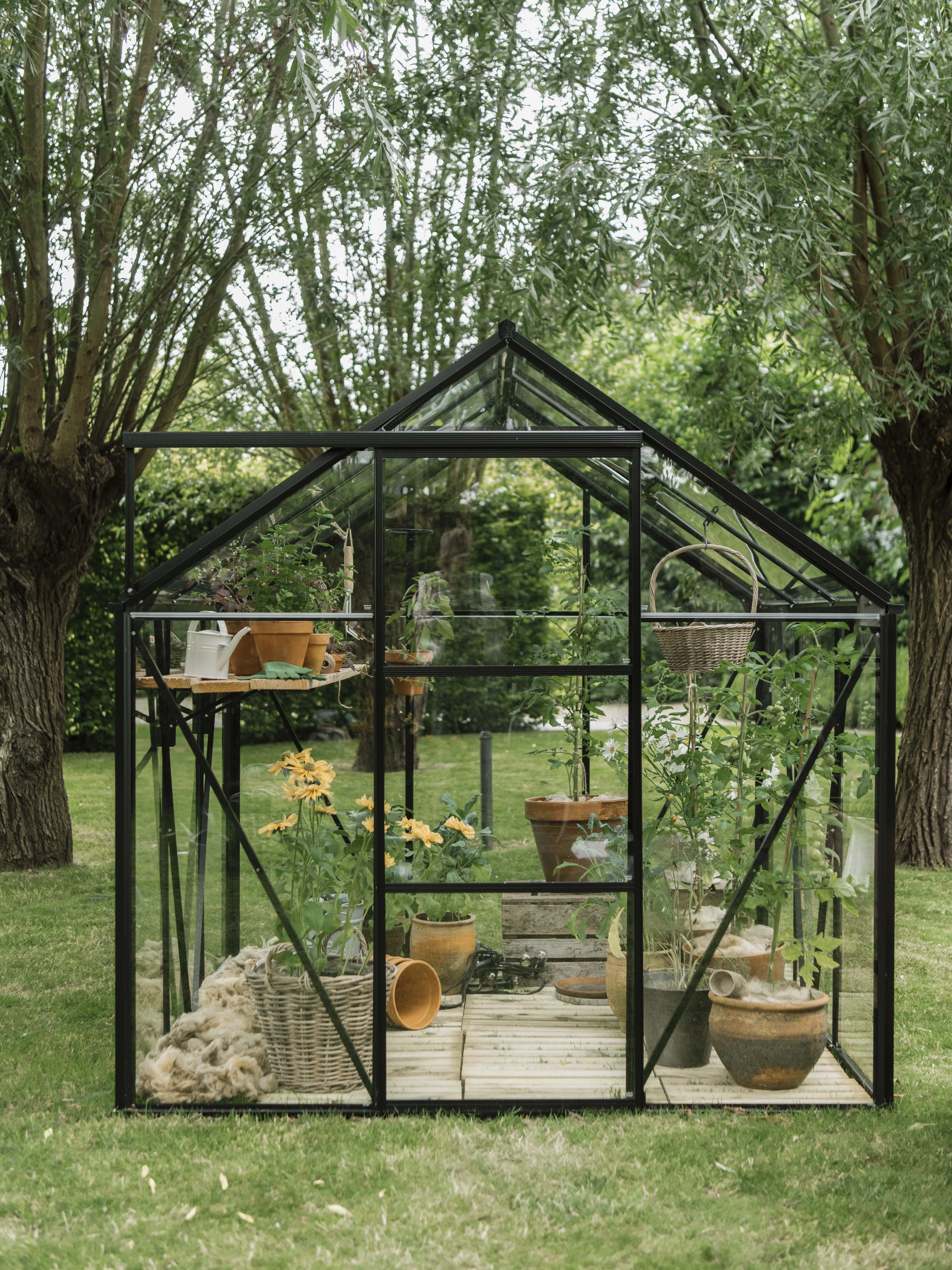 Royal Well Tuinkas Kate IV Full Options 192 x 375 cm Zwart - Afbeelding 1