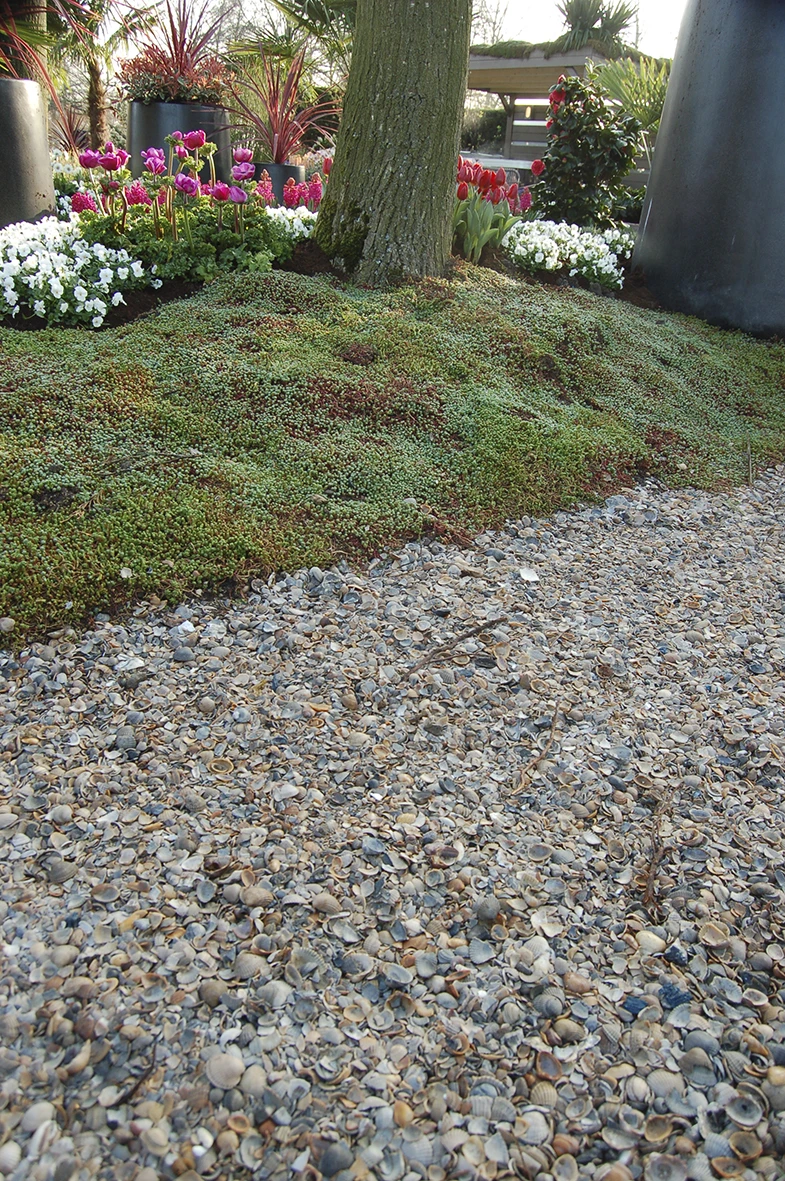 Gardenlux Schelpen 8-16 mm Bigbag 1 m3 - Afbeelding 2