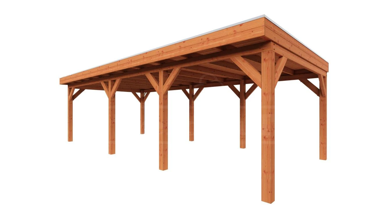 Douglas Overkapping Refter 850 x 400 cm - Afbeelding 1