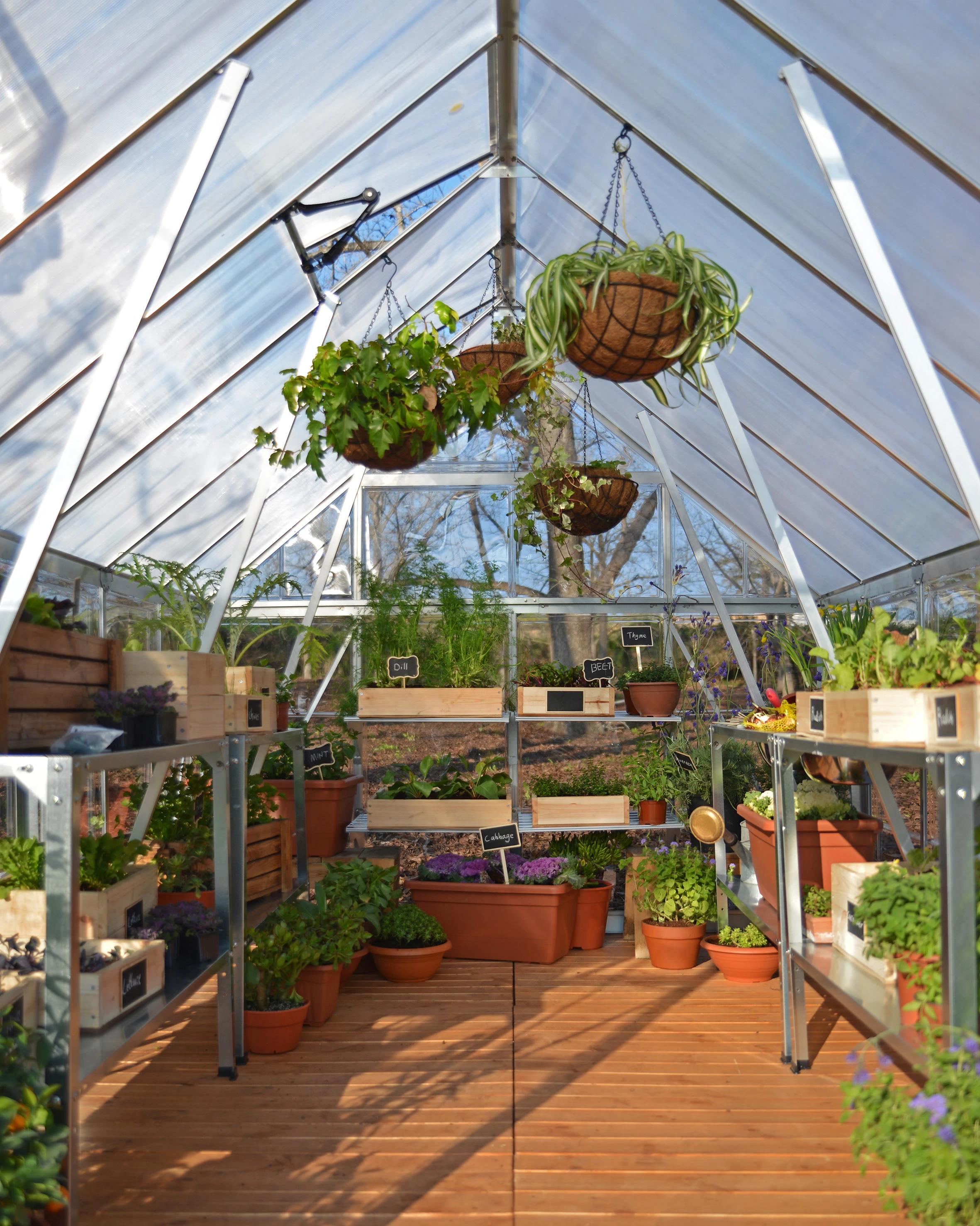 Palram Canopia Tuinkas Balance 244 x 247 cm Zilver - Afbeelding 3