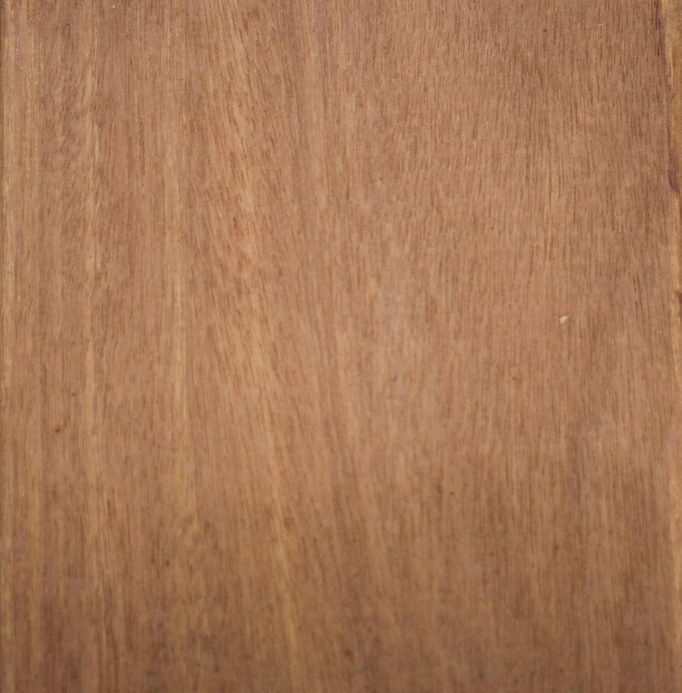 Bankirai Vlonderplank 2.1 x 14.5 cm (21 x 145 mm) Groef/Glad - Lengte 457 cm - Afbeelding 3