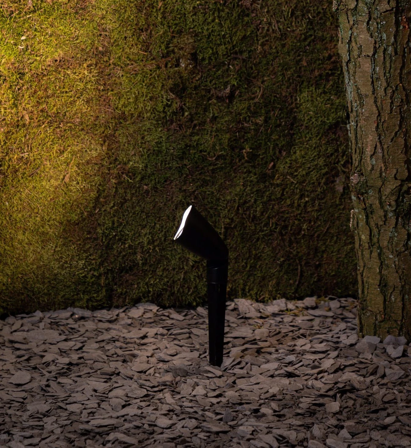 Suslight Small Calla Focus 2,2W - Afbeelding 2