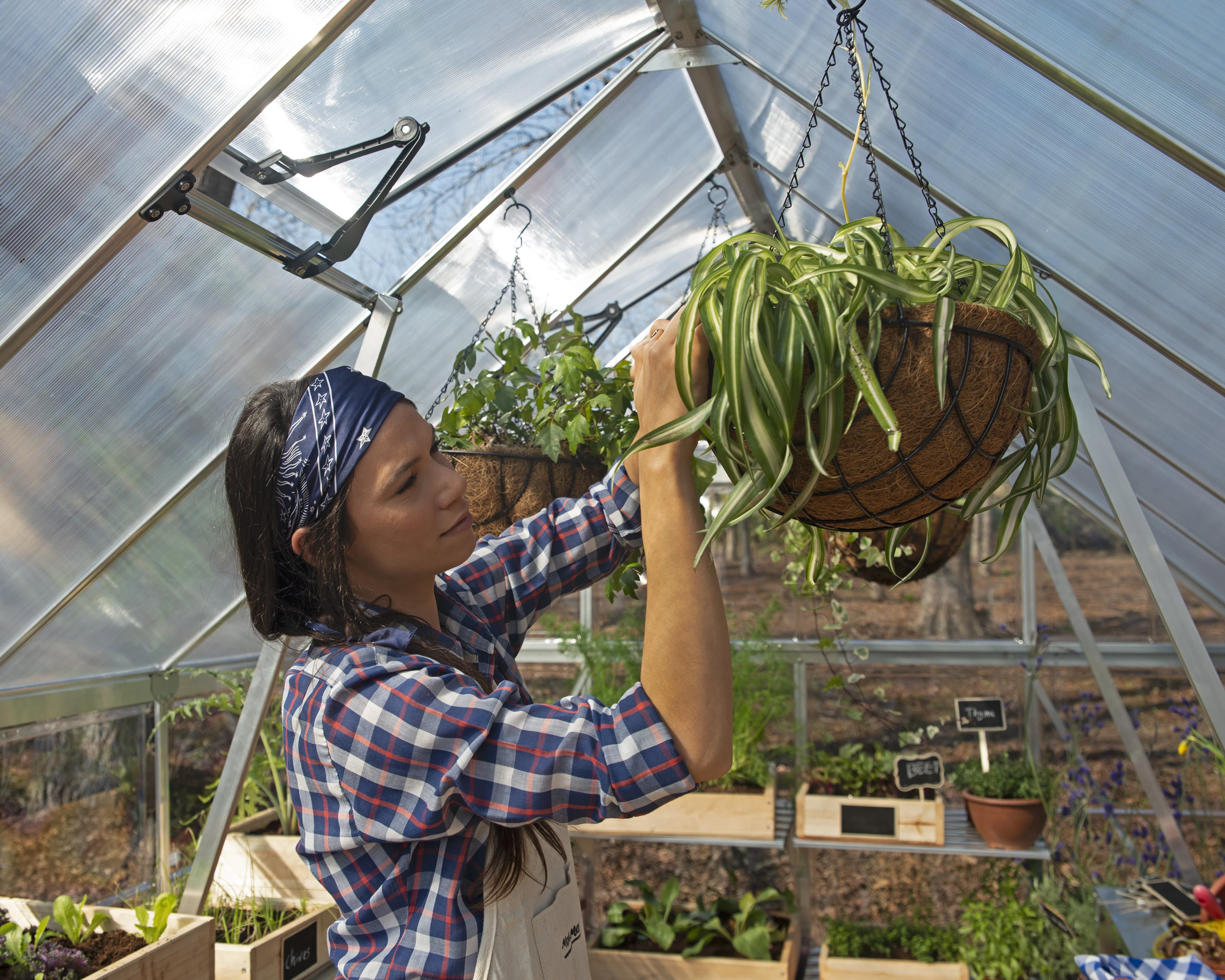 Palram Canopia Tuinkas Balance 244 x 367 cm Zilver - Afbeelding 4