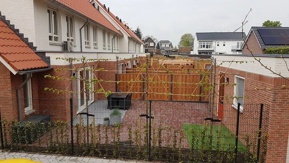 Hardhout Schutting Geschaafd 180 x 180 cm - Afbeelding 5