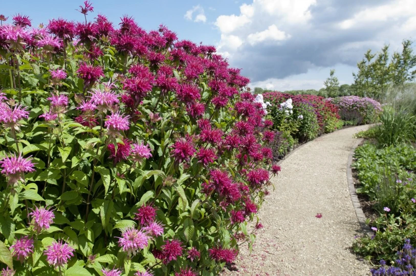 Excluton Split Gravier d'Or/Jaumont 0-5 mm 800 kg - Afbeelding 2