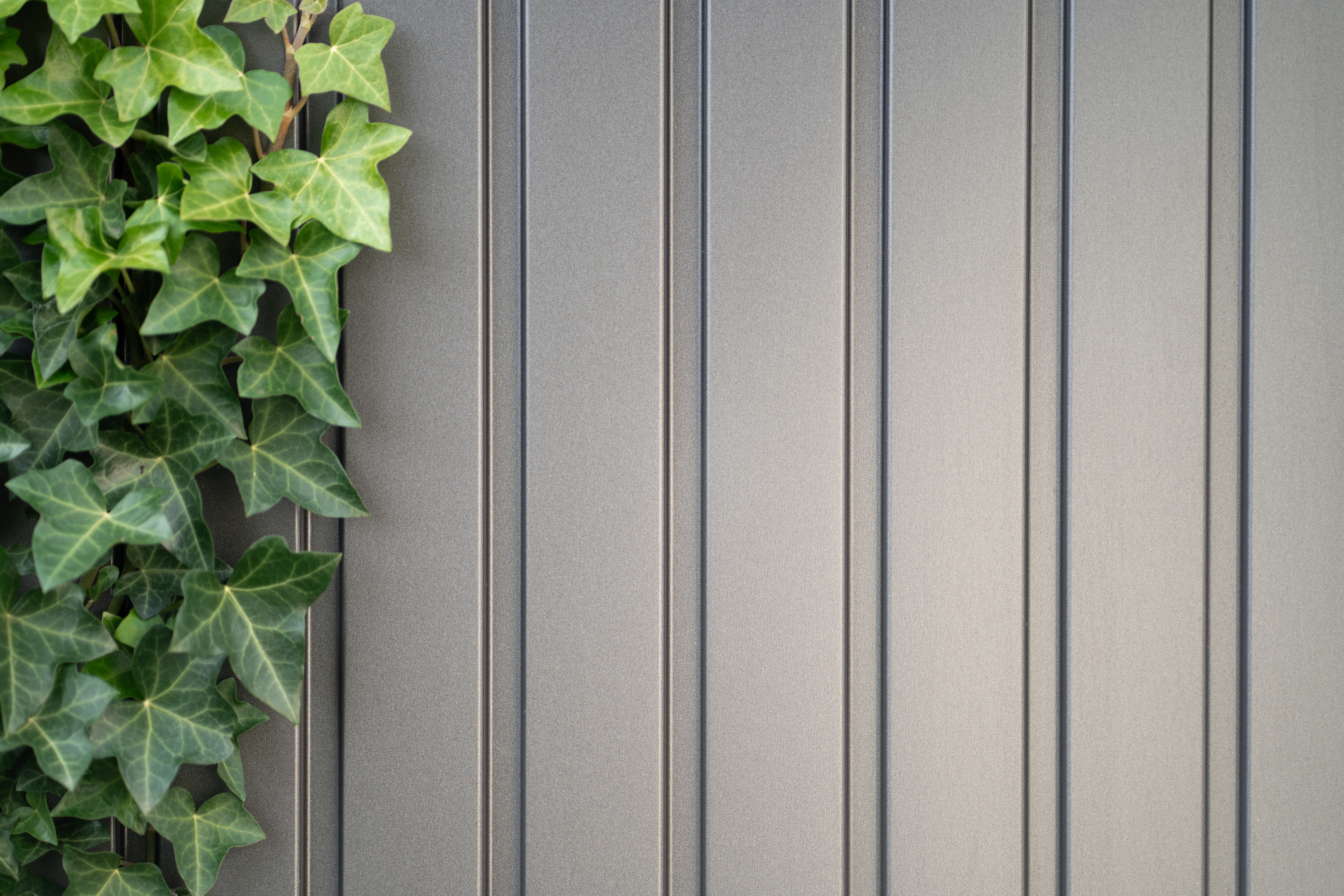 Biohort berging avantgarde met enkele deur kwartsgrijs, 180 x 300 x 218 cm, A3 - Afbeelding 11