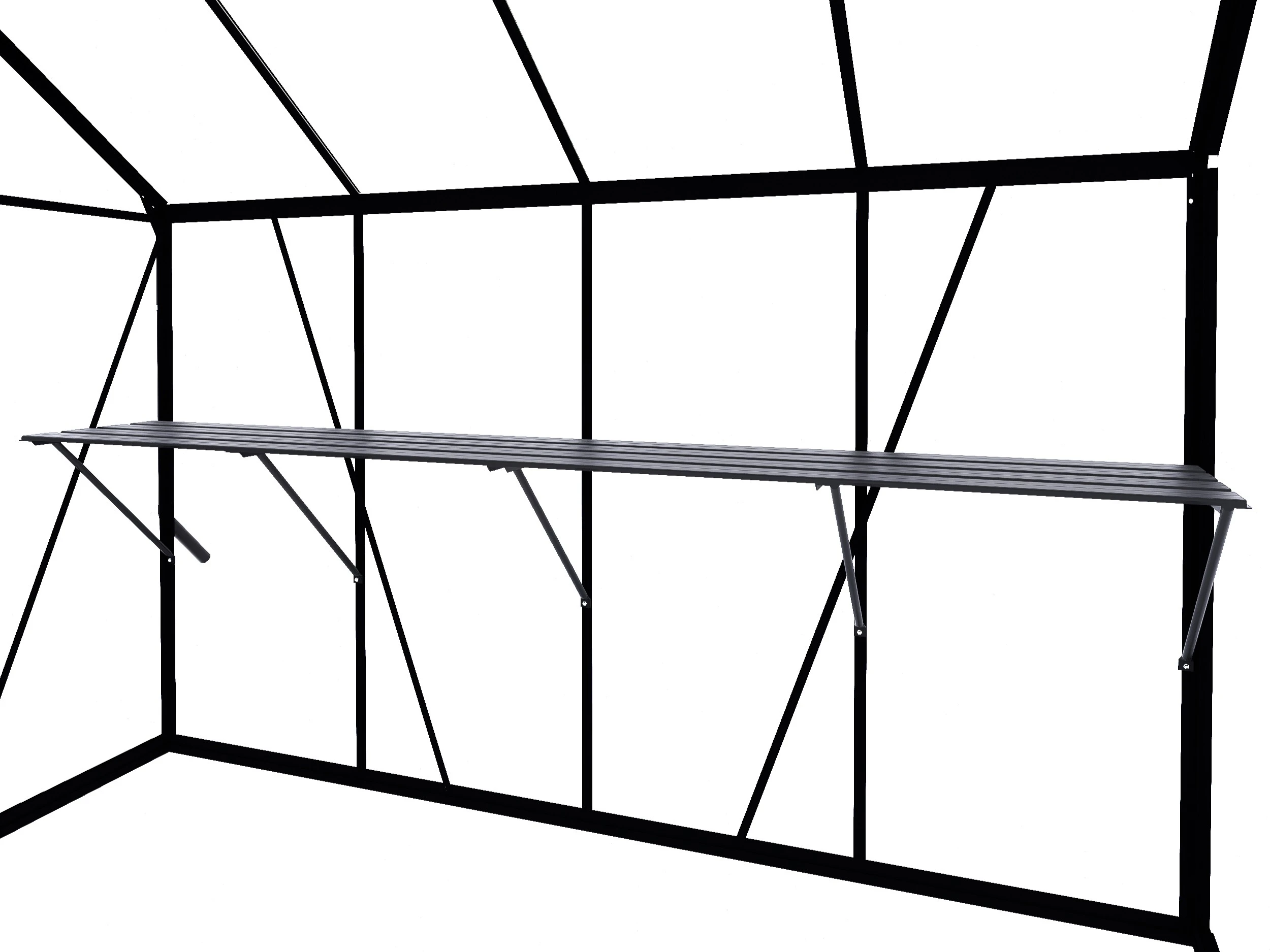 Royal Well Kweektafel Voor Kate 2 Zwart - Afbeelding 1