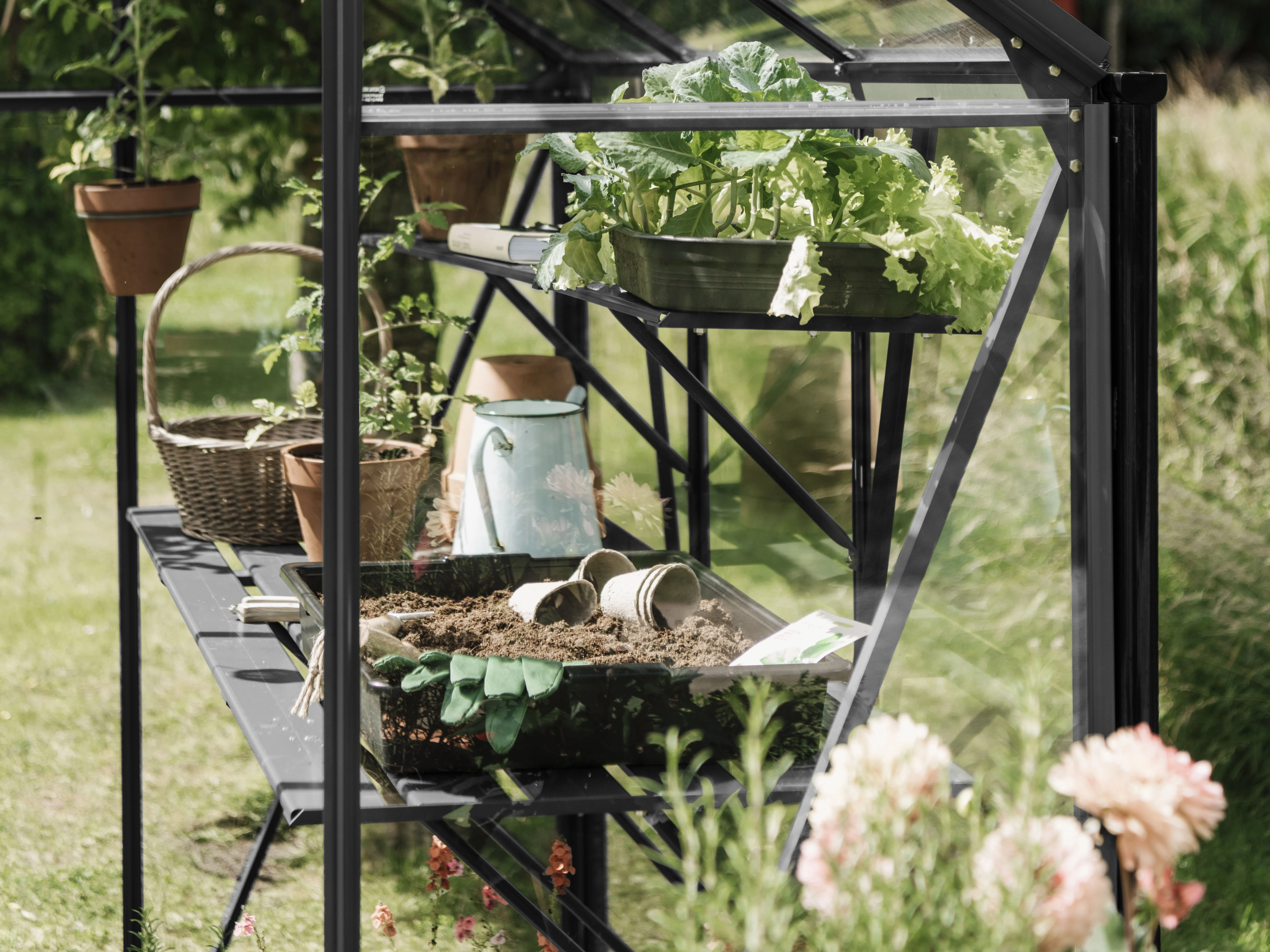 Royal Well Kweekschap voor Kate V Zwart - Afbeelding 2