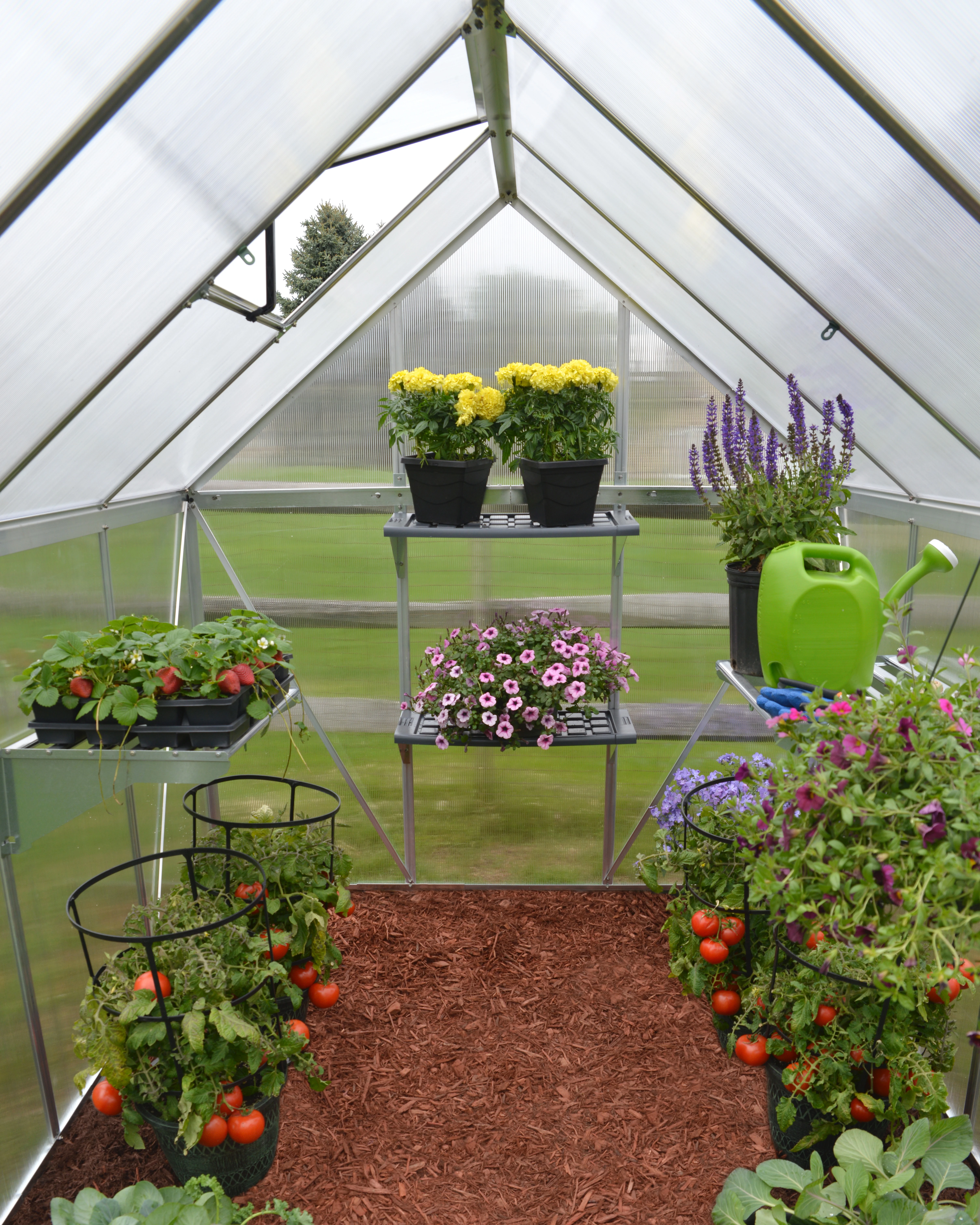 Palram Canopia Tuinkas Mythos 185 x 305 cm Zilver - Afbeelding 10