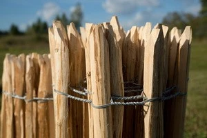 Schapenhek Hazelaar 120 x 500 cm - Afbeelding 6