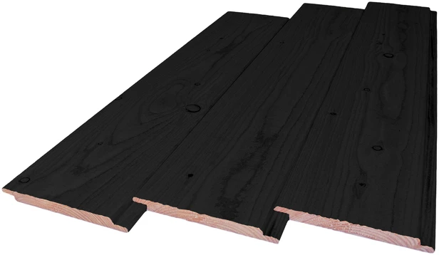 Douglas Sponningplank 1.8 x 19.5 cm (18 x 195 mm) Zwart Gespoten - Lengte 500 cm - Afbeelding 1