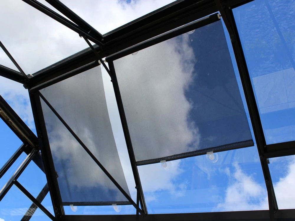 Royal Well Rolscherm 67,5 x 200 cm - Afbeelding 1