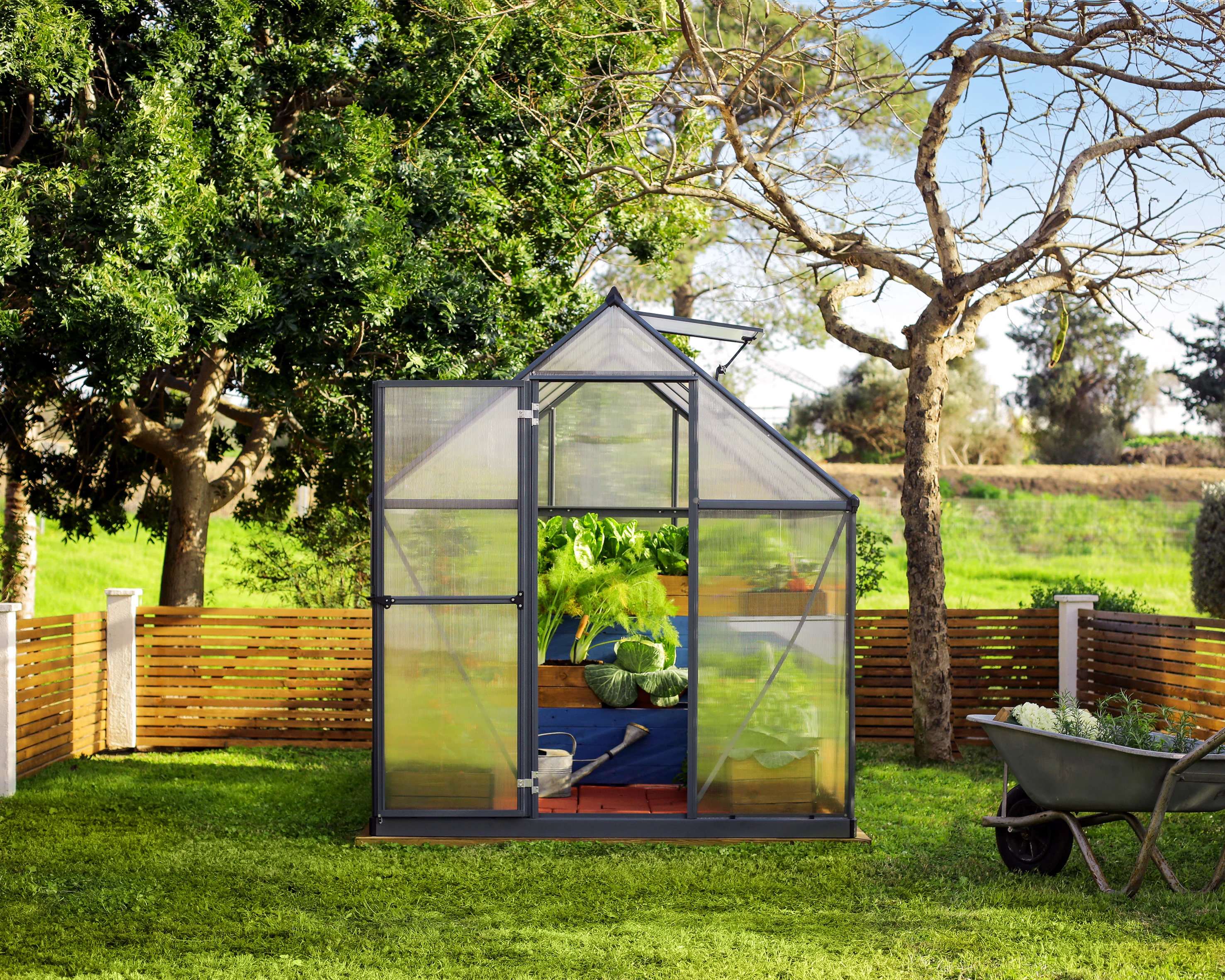 Palram Canopia Tuinkas Mythos 185 x 246 cm Antraciet - Afbeelding 12