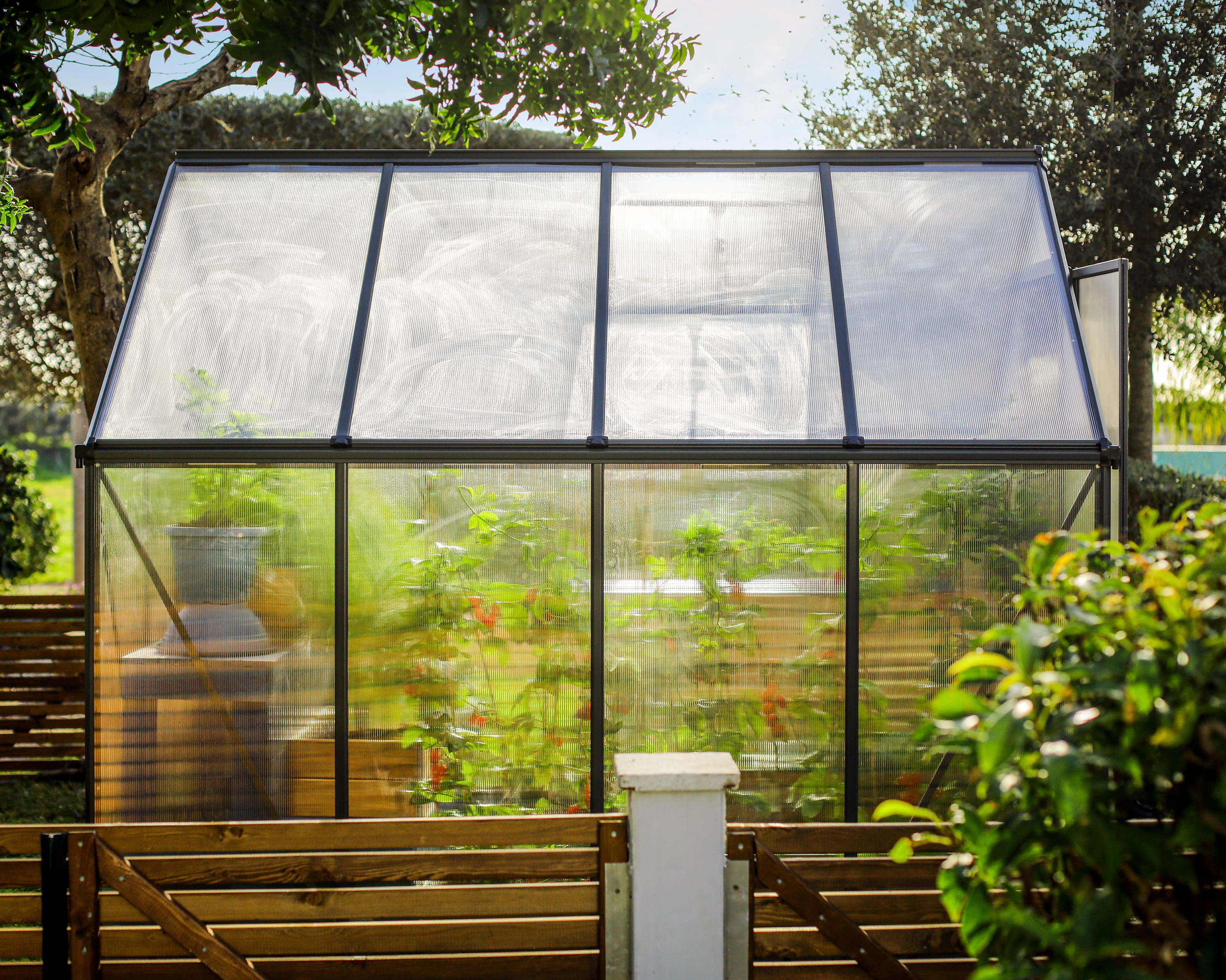 Palram Canopia Tuinkas Mythos 185 x 246 cm Antraciet - Afbeelding 10