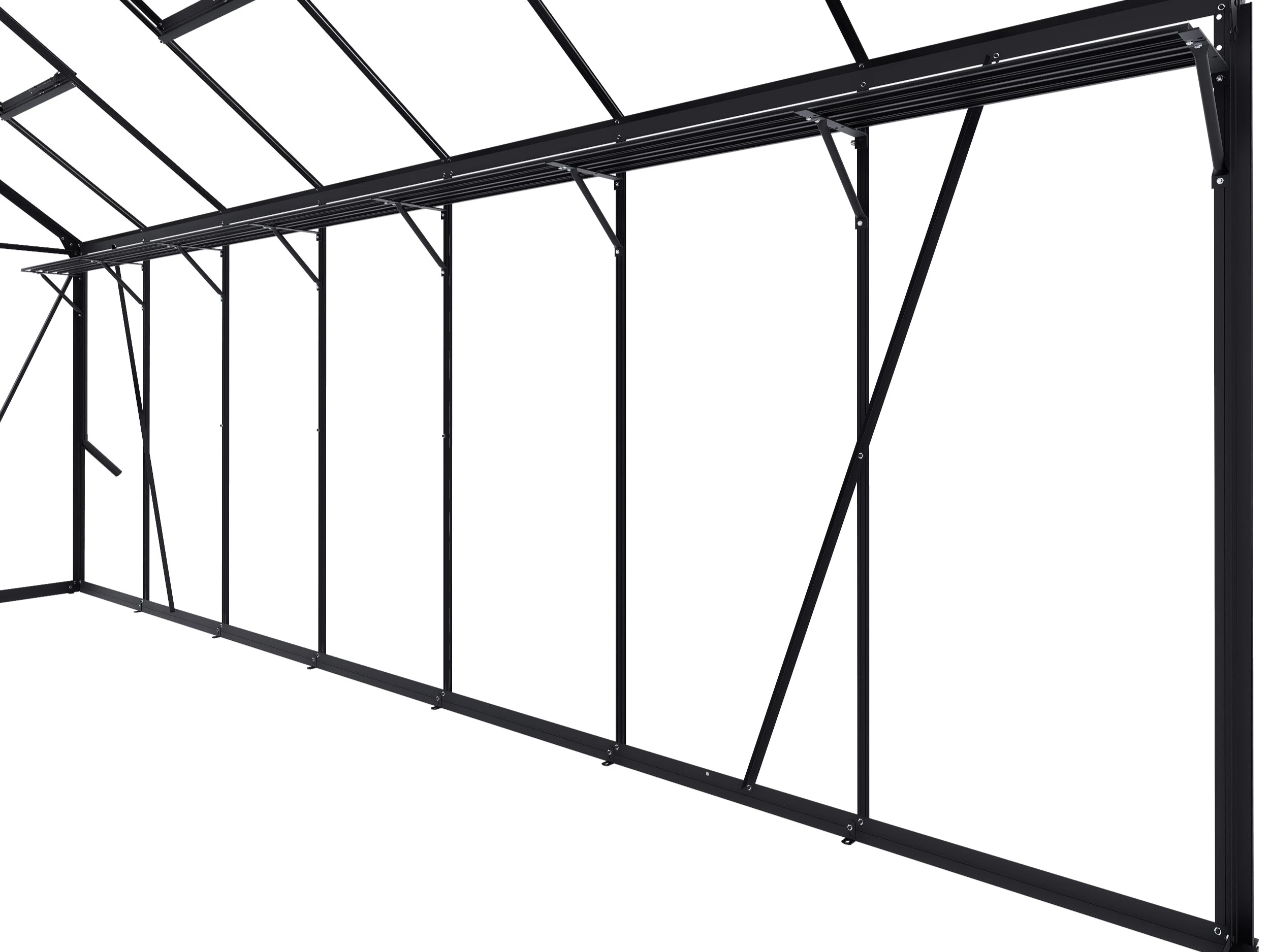 Royal Well Kweekschap voor Kate V Zwart - Afbeelding 1