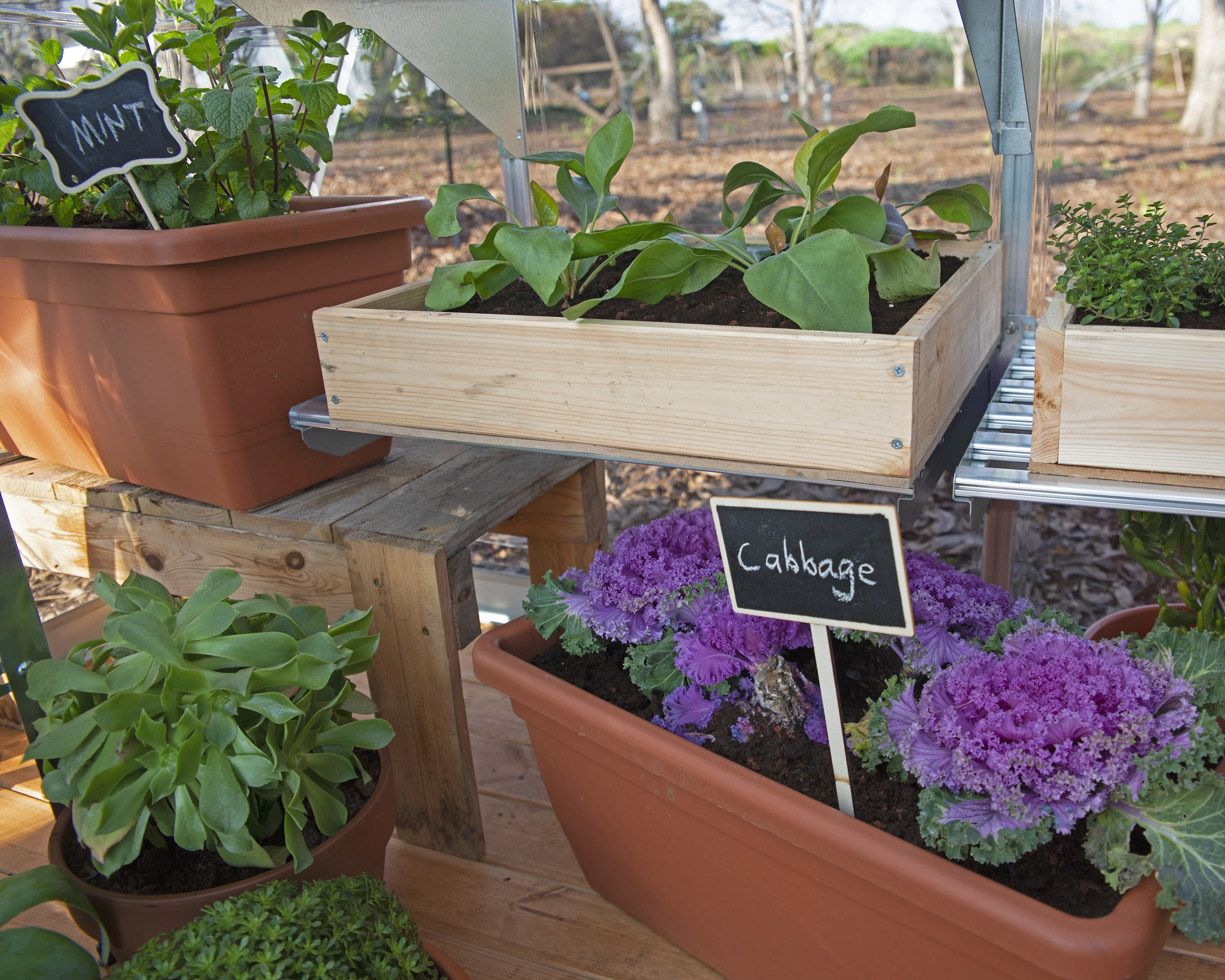 Palram Canopia Tuinkas Balance 244 x 607 cm Zilver - Afbeelding 5