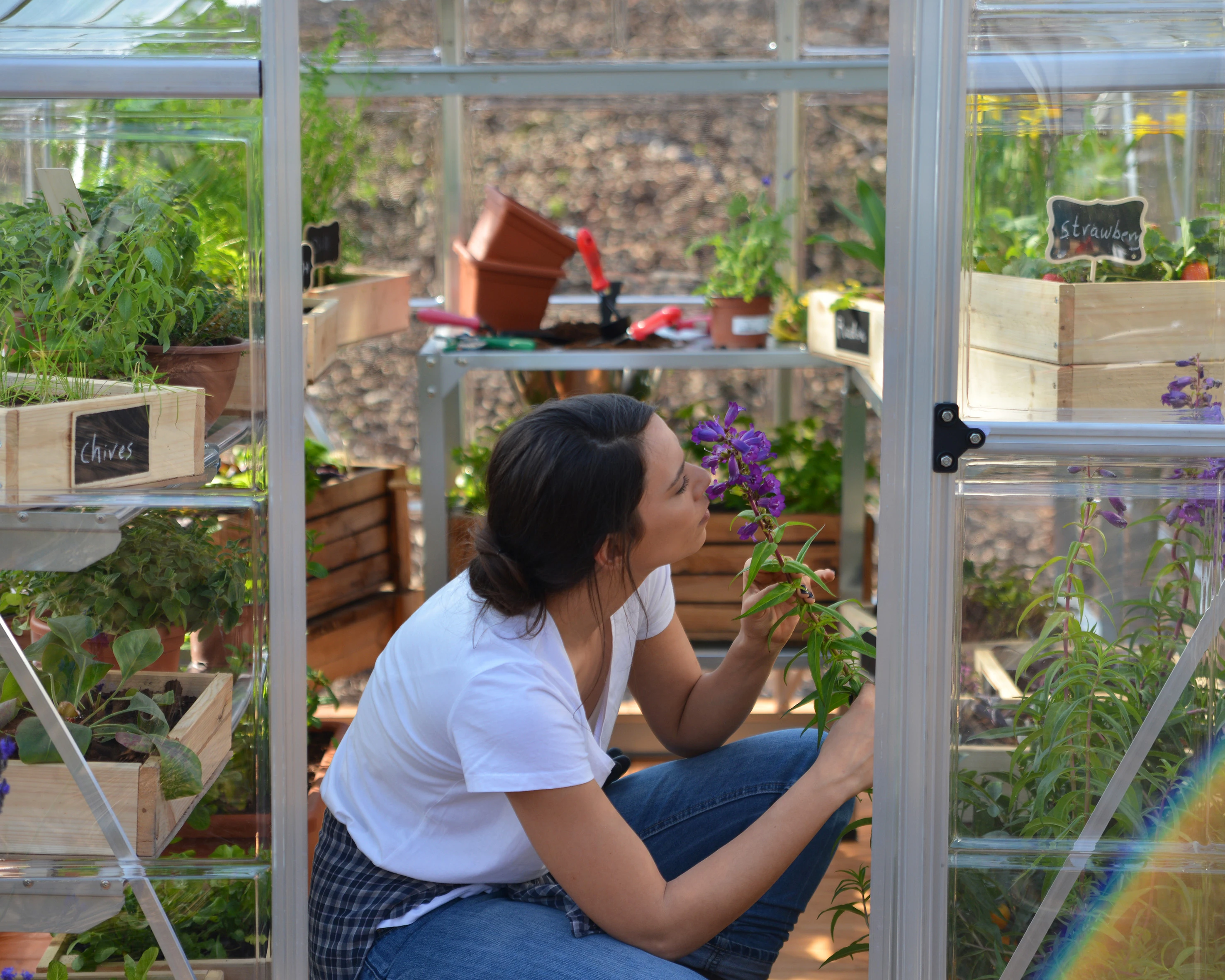 Palram Canopia Tuinkas Hybrid 185 x 246 cm Zilver - Afbeelding 7