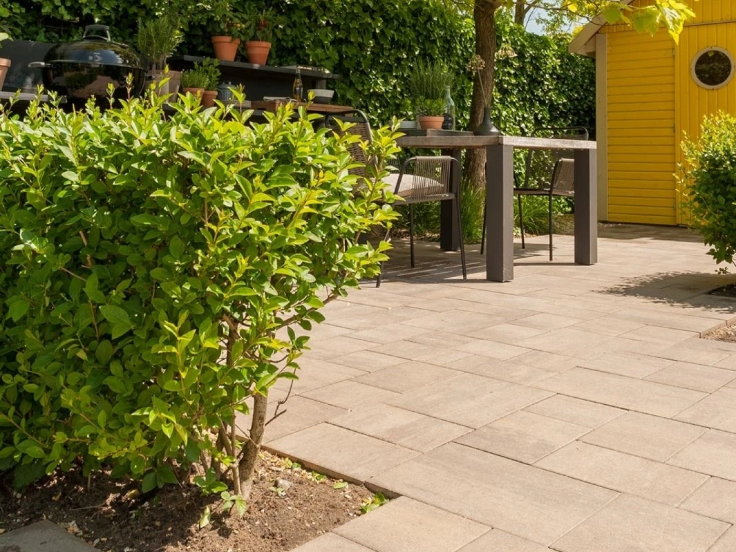 Betontegel 60plus Soft Comfort Wildverband Ivory - Afbeelding 2