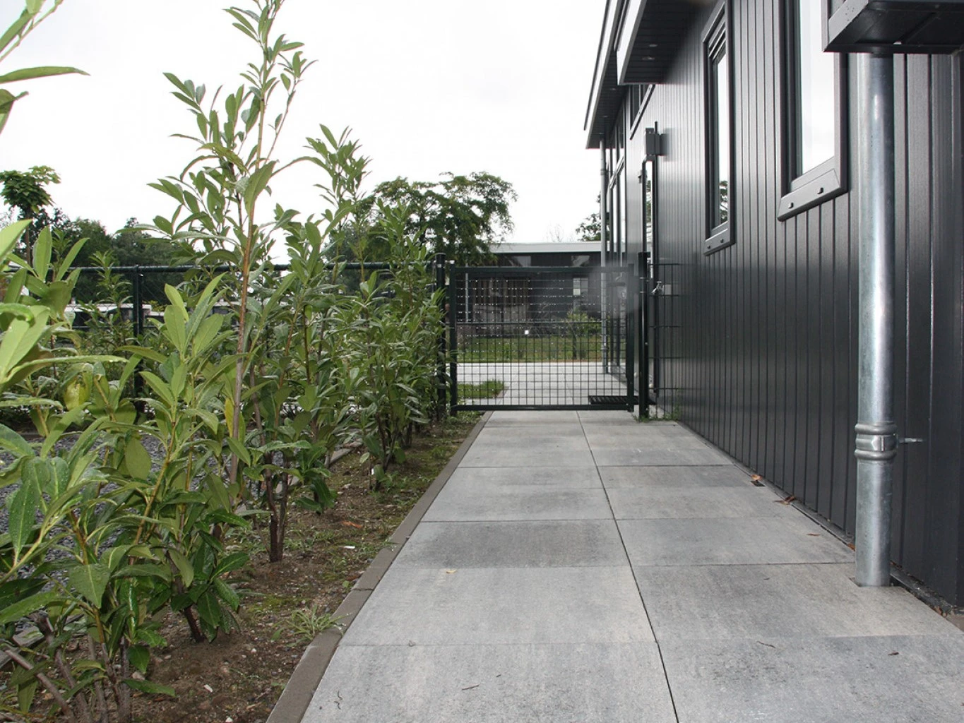 Betontegel 60plus Soft Comfort Grezzo 60 x 60 x 6 cm (600 x 600 x 60 mm) - Afbeelding 2