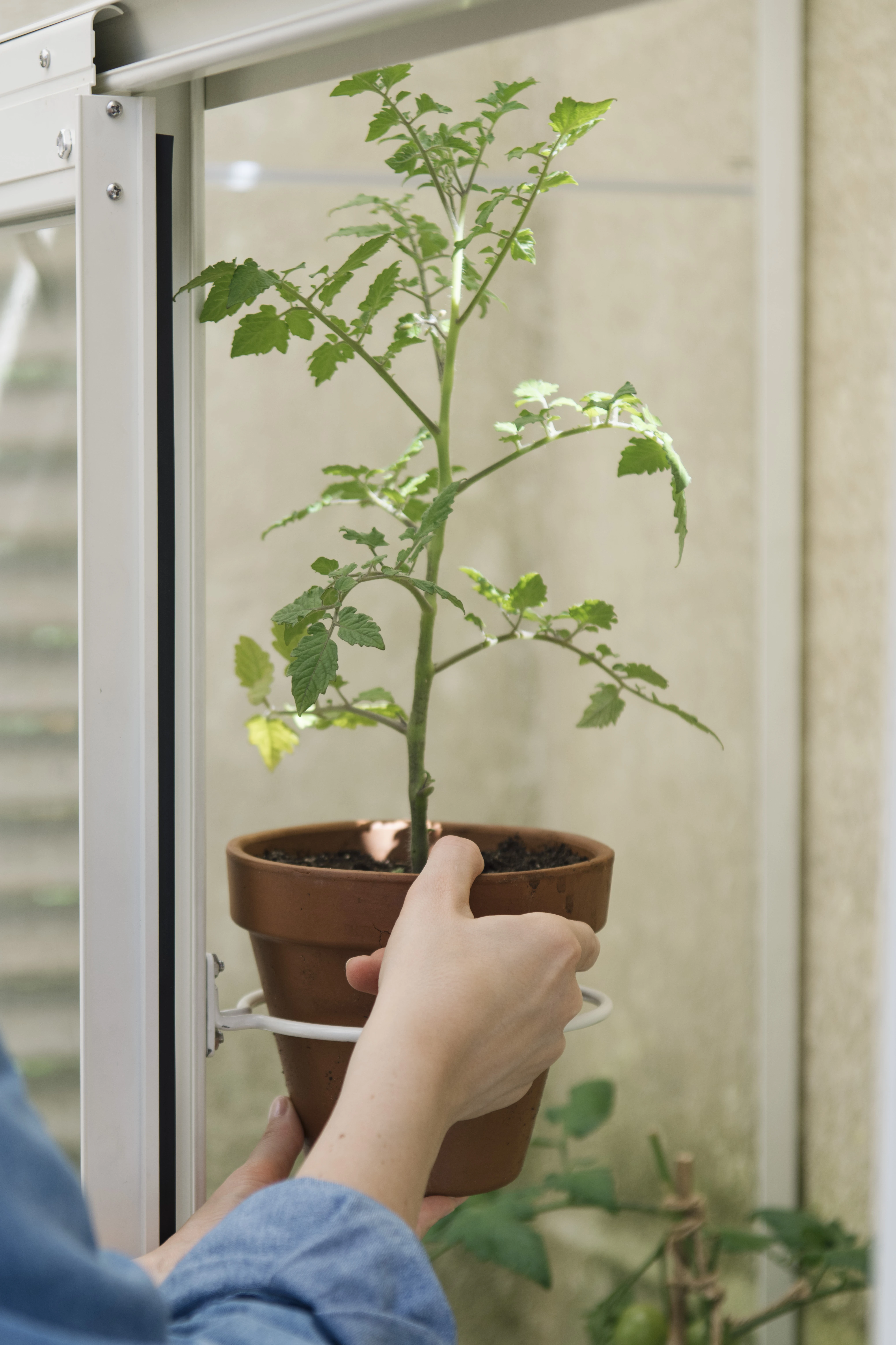 Royal Well Set Pothouders Wit 4 Stuks - Afbeelding 1