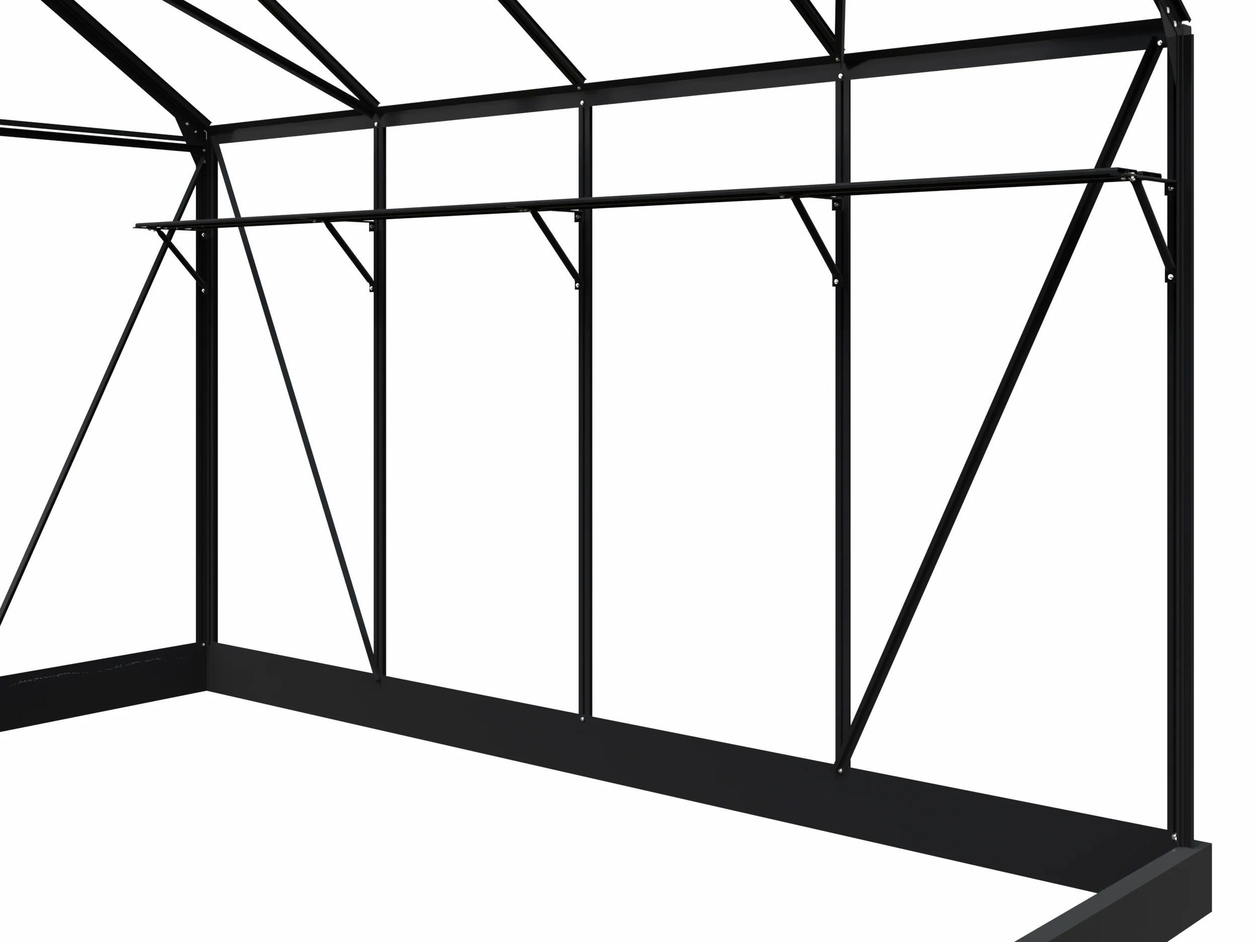 Royal Well Kweekschap Mary II Zwart - Afbeelding 1