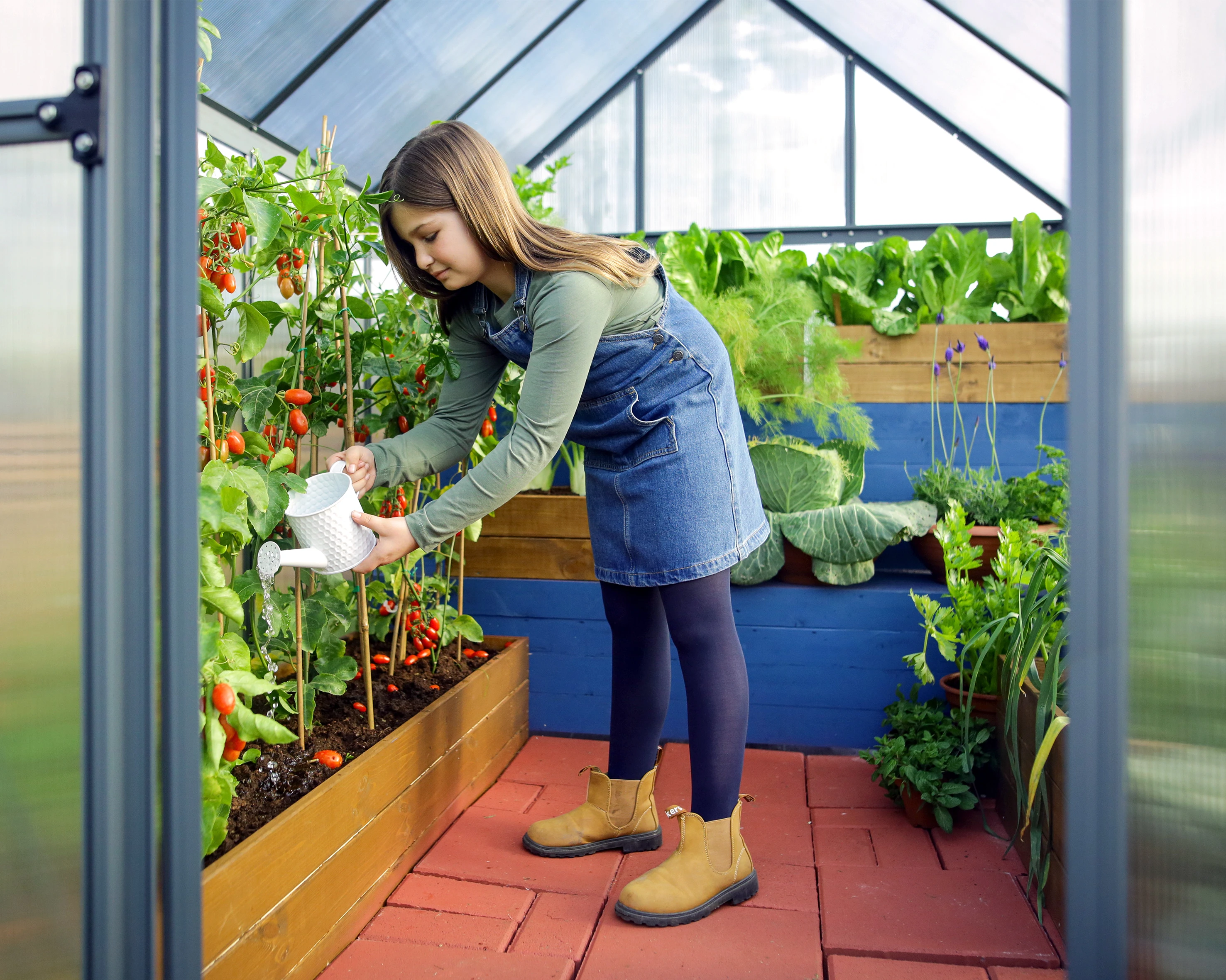 Palram Canopia Tuinkas Mythos 185 x 246 cm Antraciet - Afbeelding 4