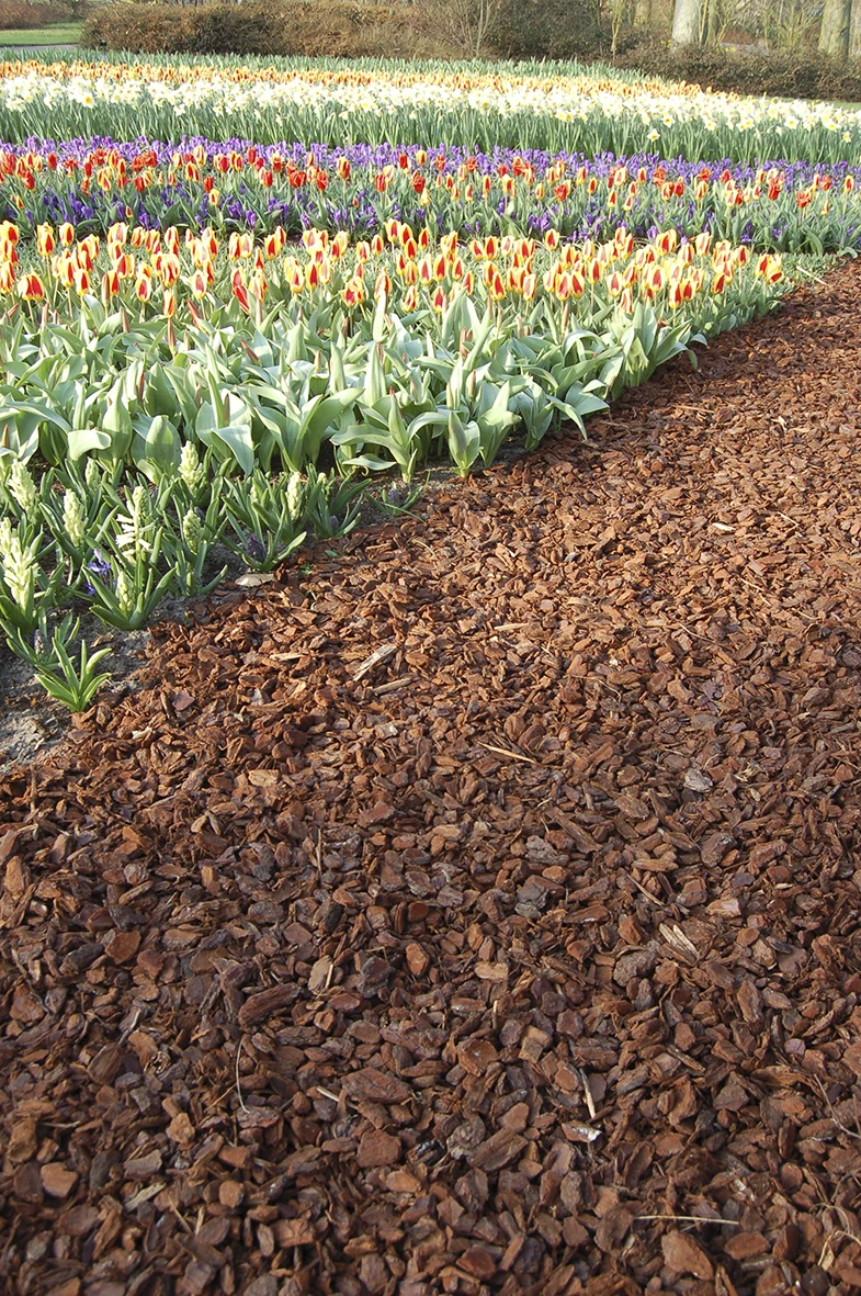 Gardenlux Franse Sierboomschors Midibag - Afbeelding 2