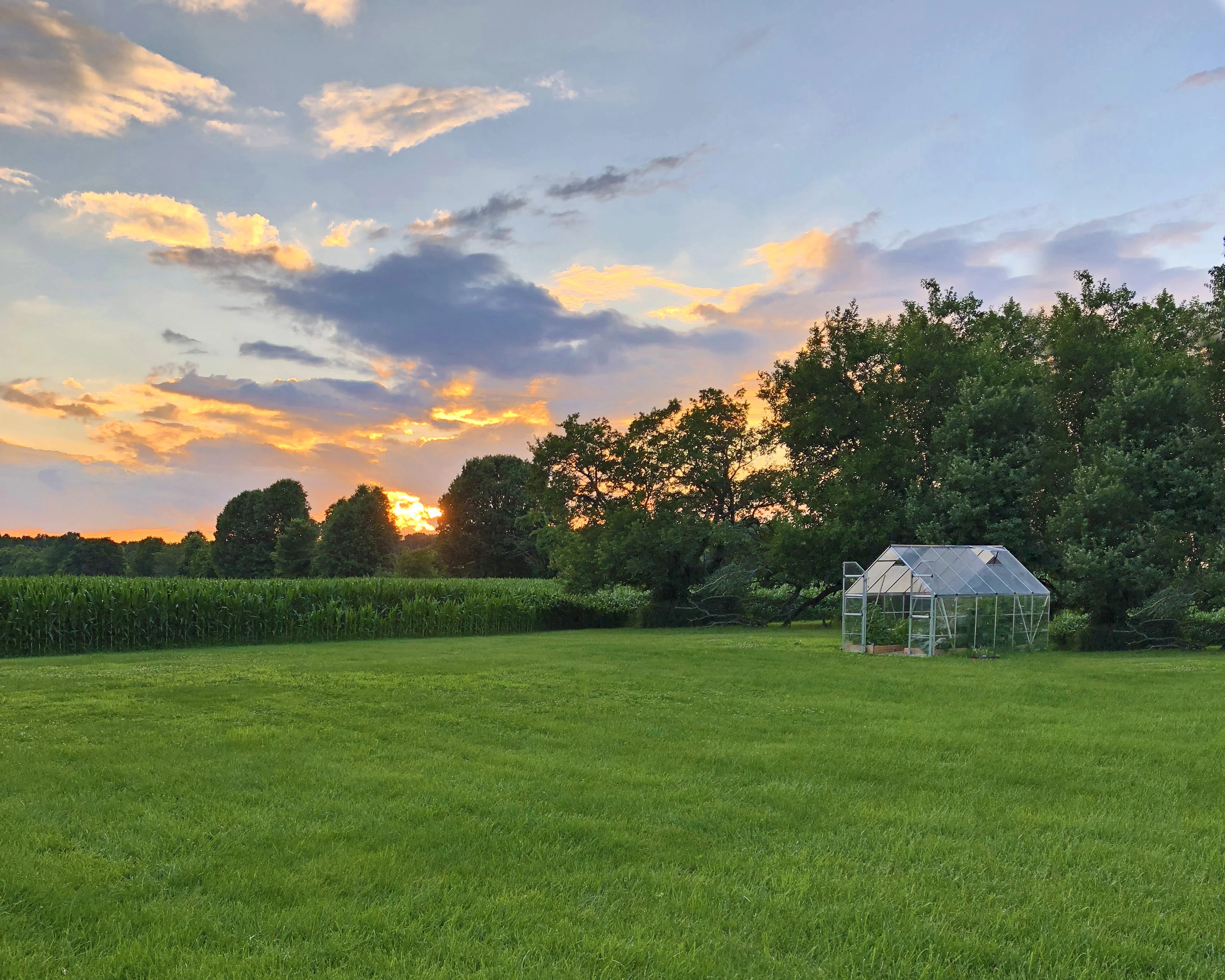 Palram Canopia Tuinkas Balance 244 x 367 cm Zilver - Afbeelding 3