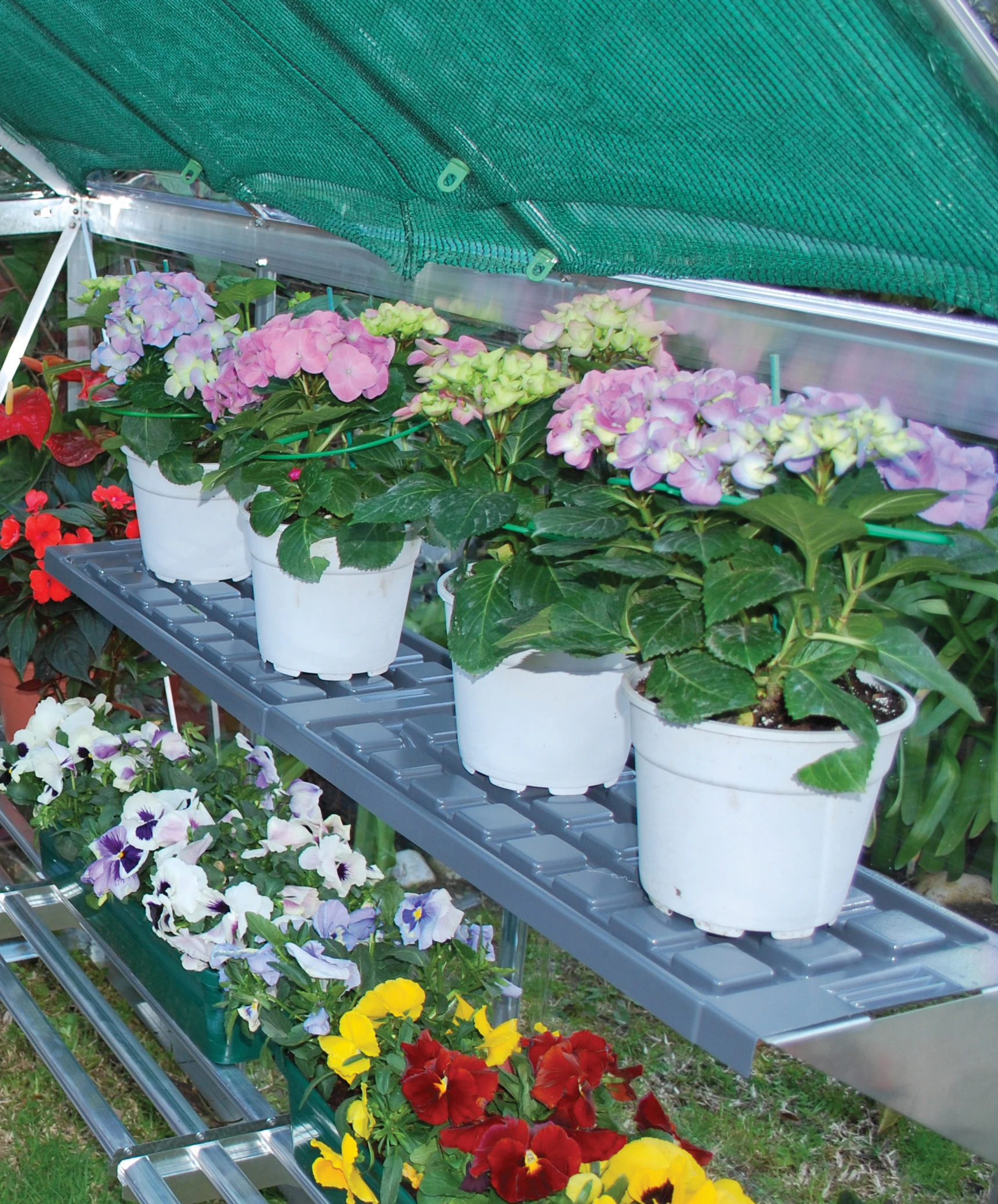 Palram Canopia Dubbele Plankenset - Afbeelding 3