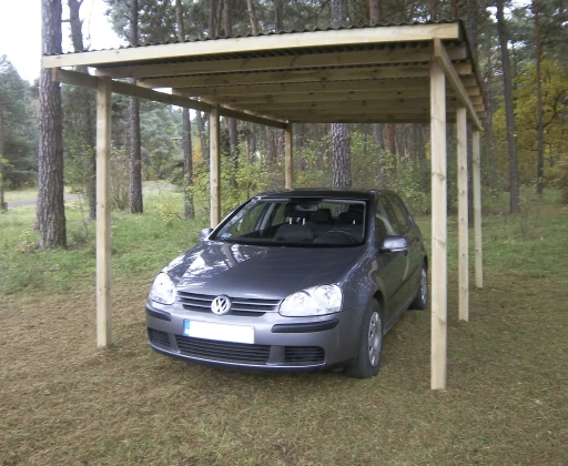 Woodlands Carport Budget 300 x 500 cm - Afbeelding 1