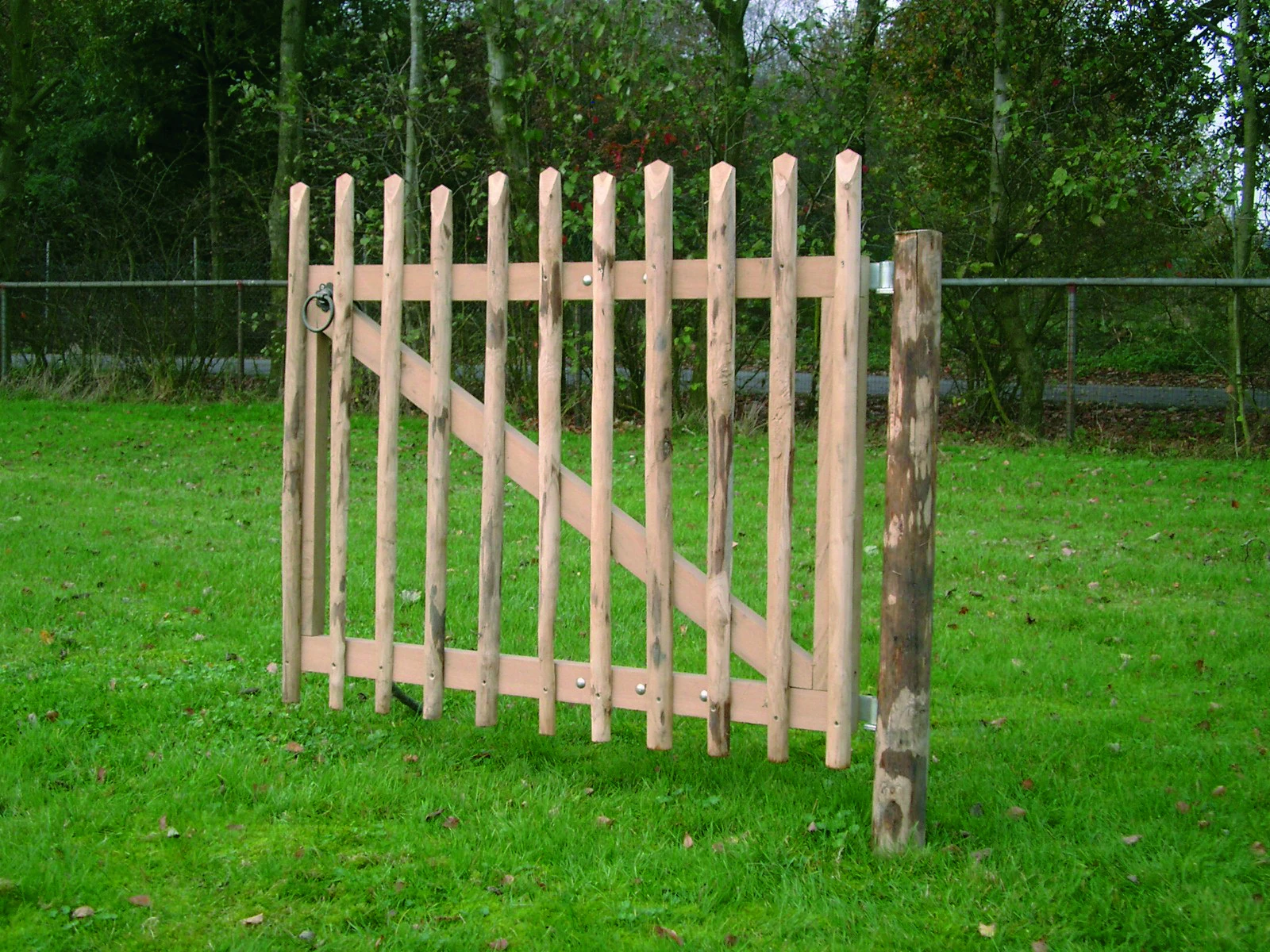 Poort tbv Schapenhek 100 x 100 cm - Afbeelding 3