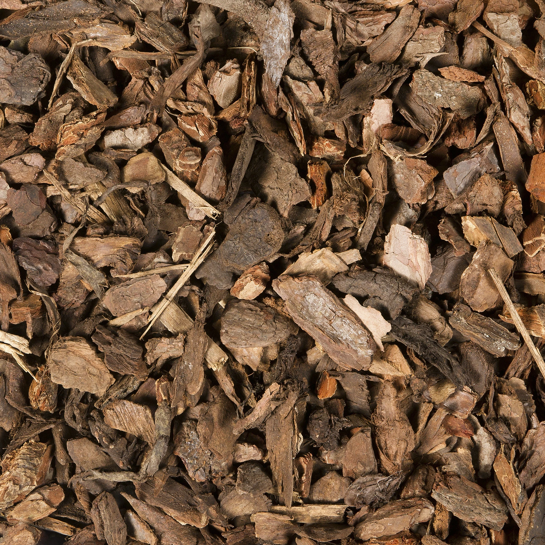 Gardenlux Franse Sierboomschors Midibag - Afbeelding 1