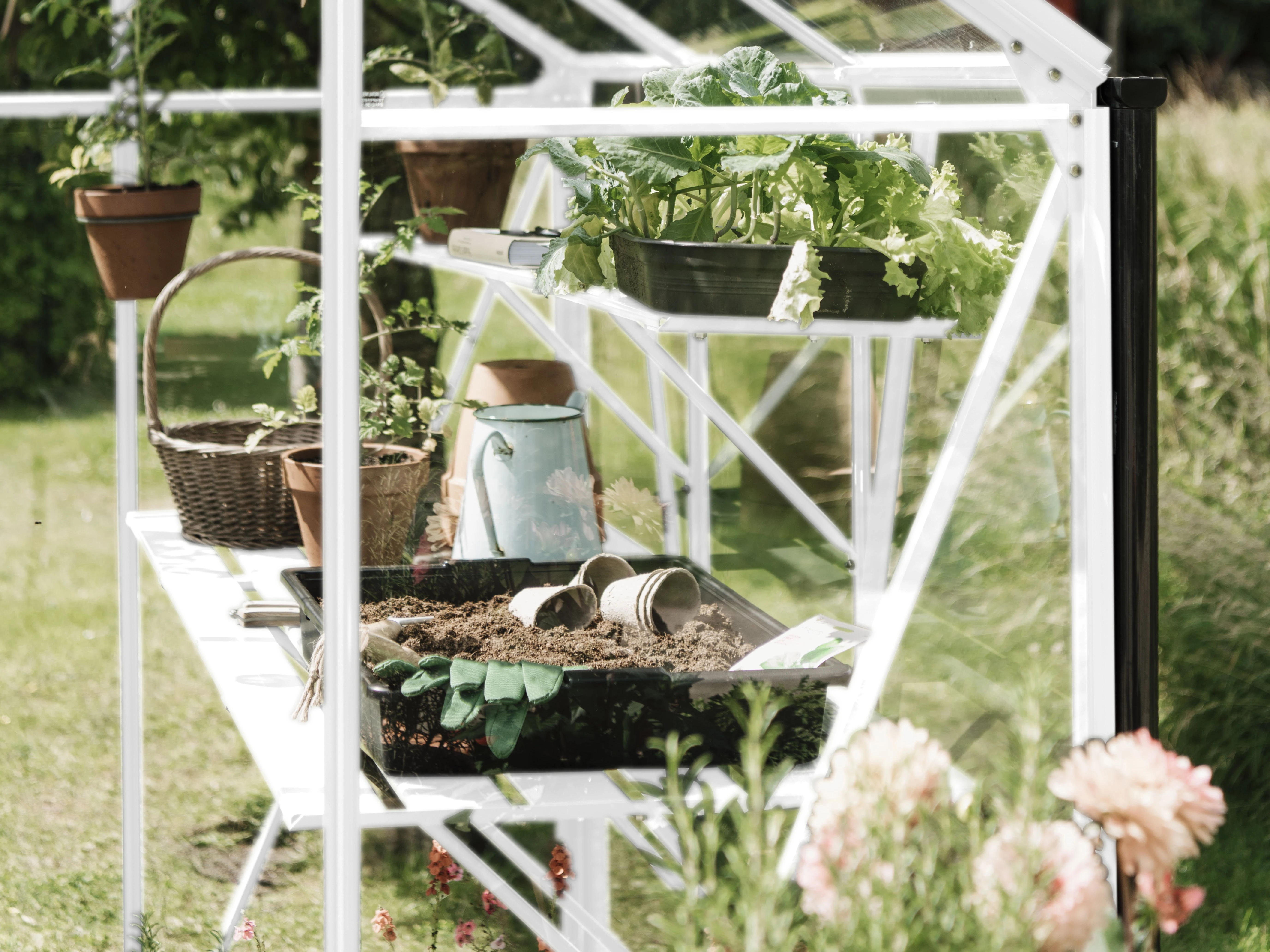 Royal Well Kweekschap voor Kate 1 Wit - Afbeelding 1