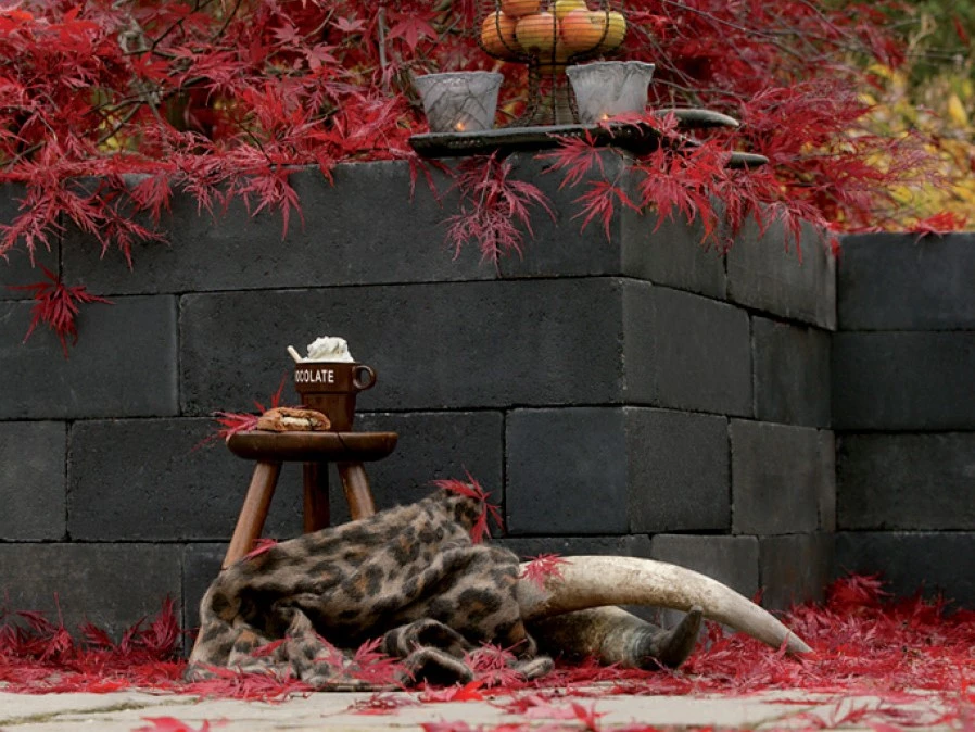 Muurelement 12 x 12 cm (120 x 120 mm) Linia Excellence Nero - Lengte 48 cm - Afbeelding 3