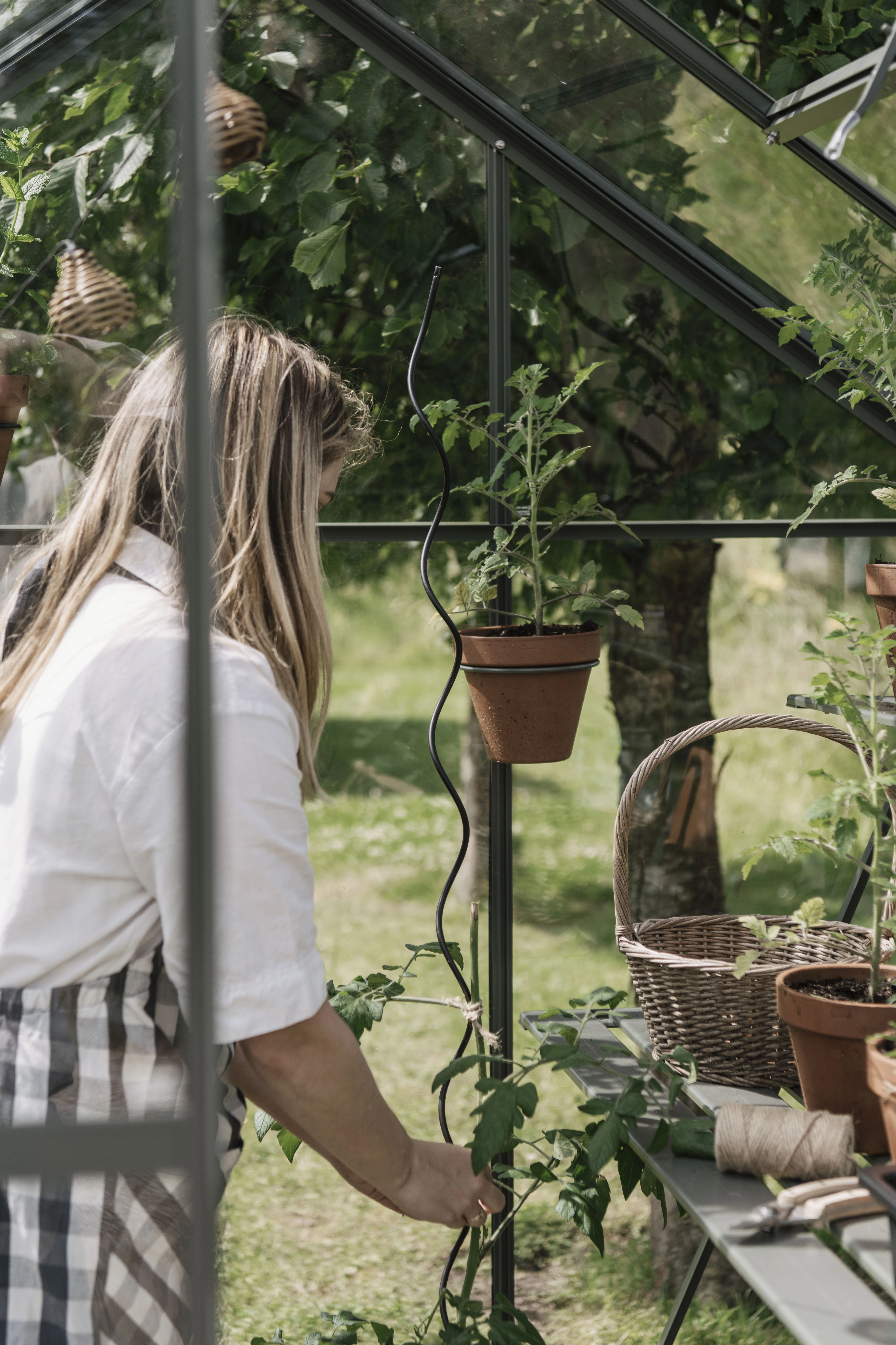 Royal Well Plantspiralen Set Zwart - Afbeelding 3