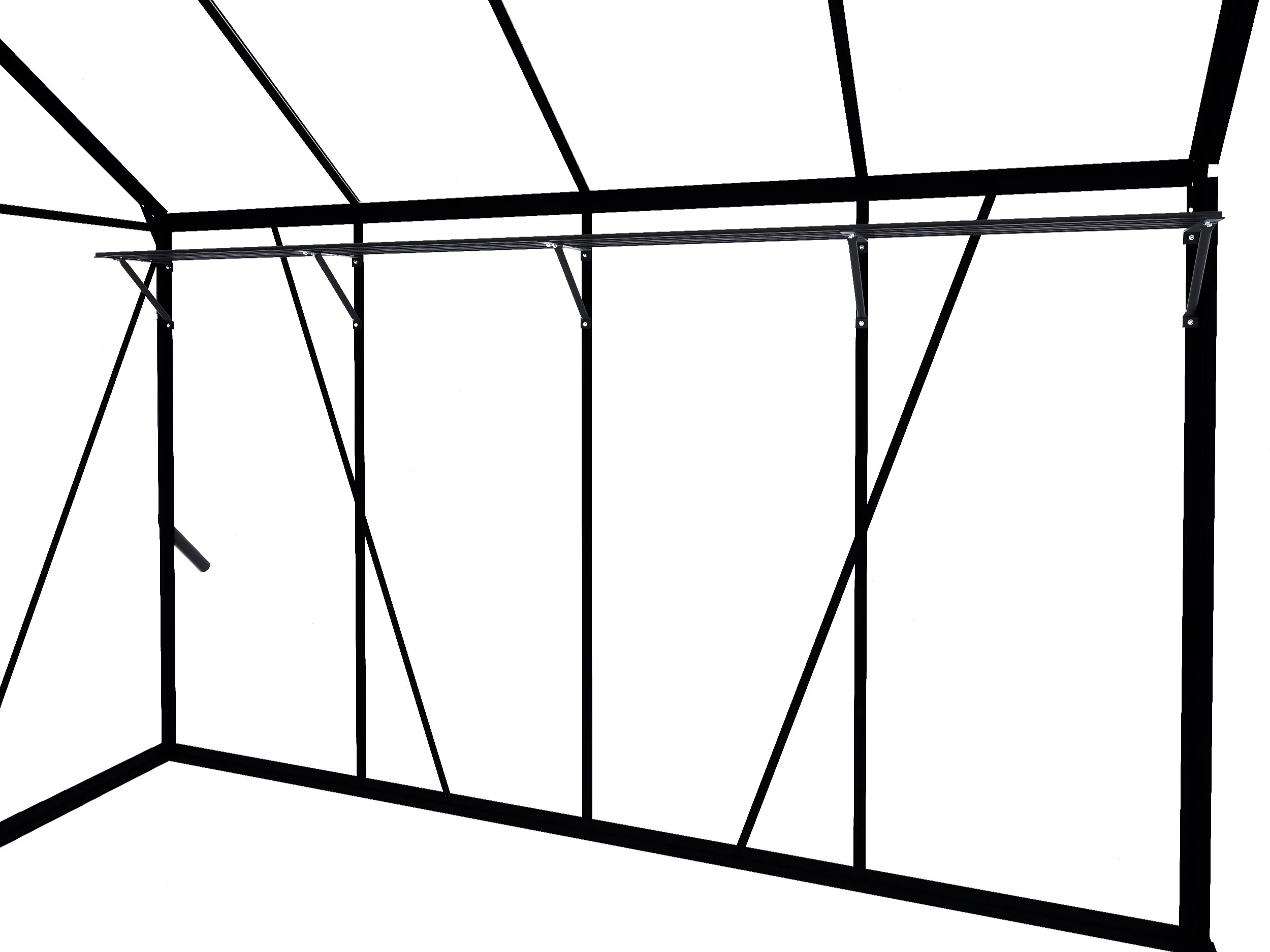 Royal Well Kweekschap voor Kate 4 Zwart - Afbeelding 3