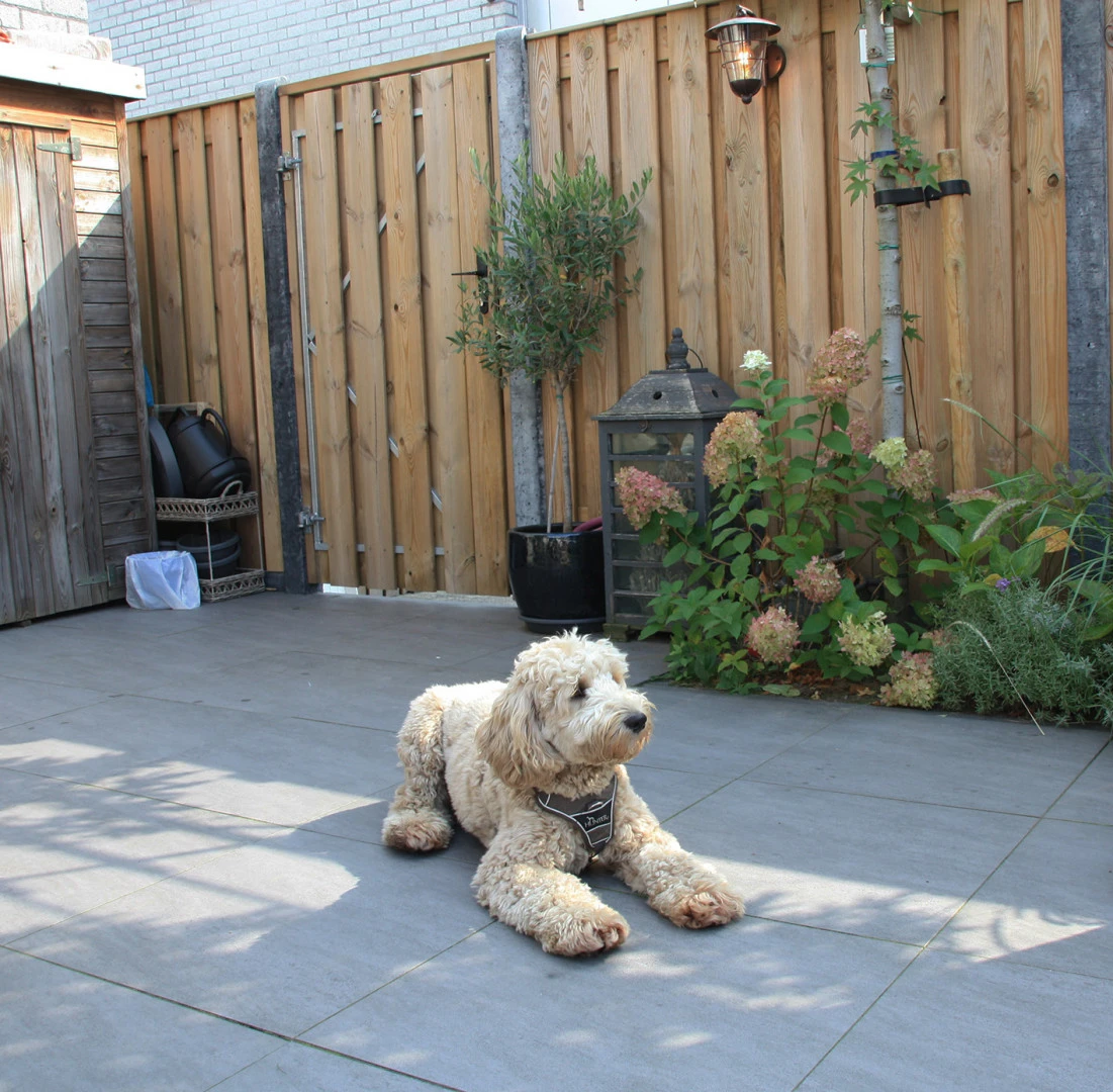 Keramische Tegel 4.8 x 60 cm (48 x 600 mm) Kera Twice Moonstone Piombo - Lengte 60 cm - Afbeelding 2