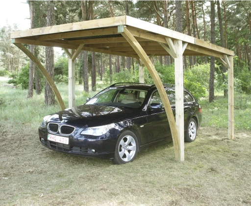 Woodlands Carport Lido 300 x 500 cm - Afbeelding 1