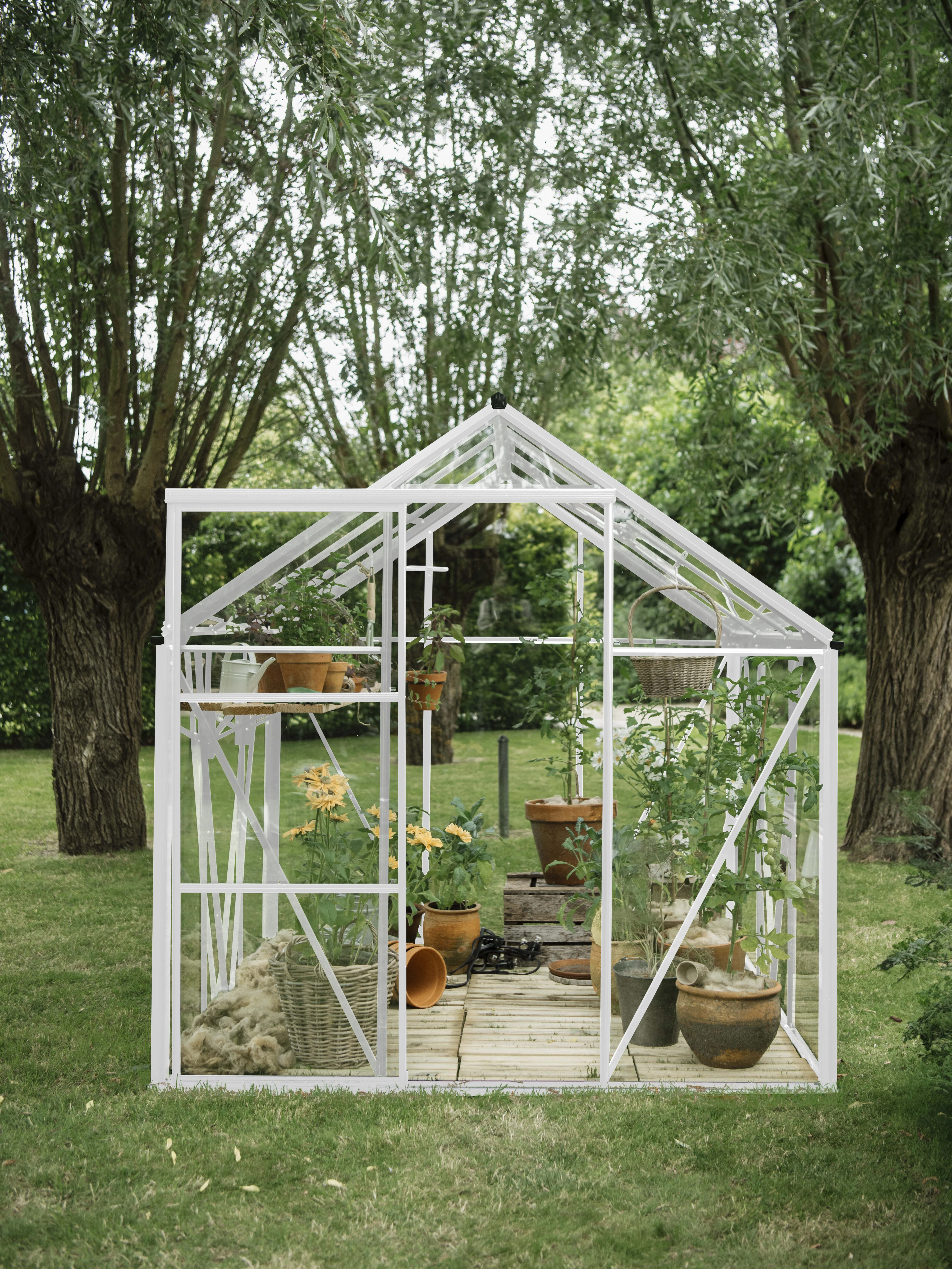 Royal Well Kate V Aluminium Tuinkas 192 x 436 cm Full Options Wit - Afbeelding 1