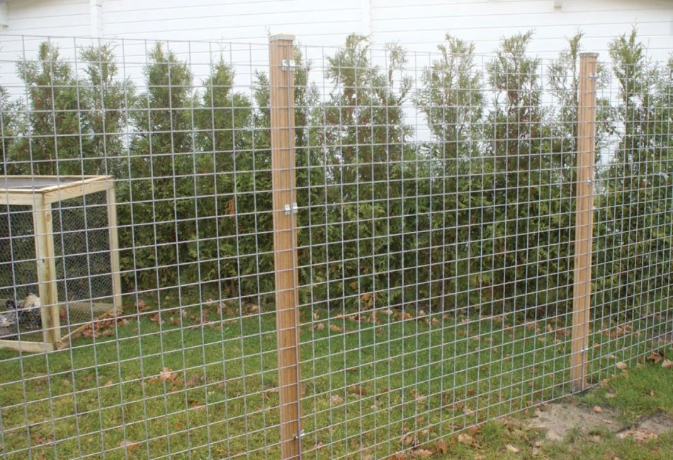 Gaaspaneel 90 x 180 cm, Maas 5 x 5 cm - Afbeelding 4