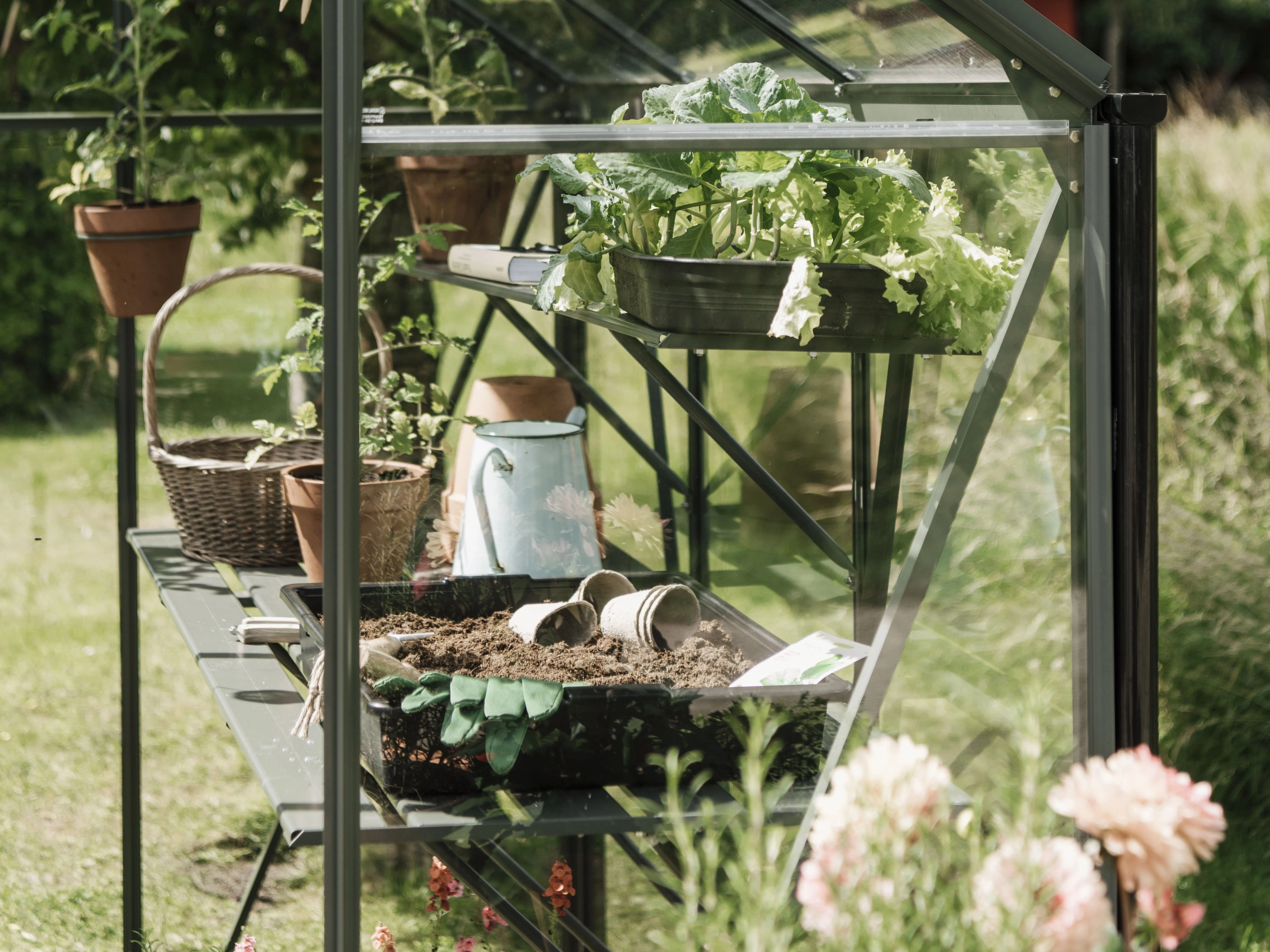 Royal Well Kweekschap voor Kate 2 Groengrijs - Afbeelding 2