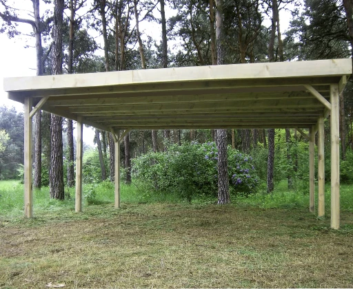 Woodlands Carport Dubbel 600 x 500 cm - Afbeelding 2