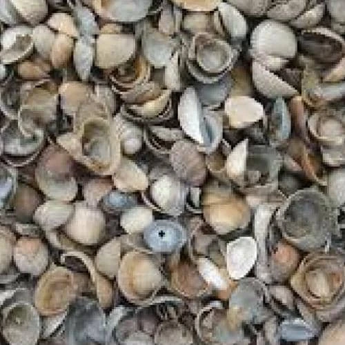 Excluton Schelpen 8-16mm 425 liter - Afbeelding 1