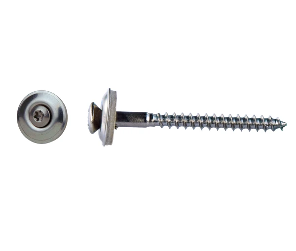 Daktrimschroef RVS Zilver - 50 stuks - Afbeelding 1